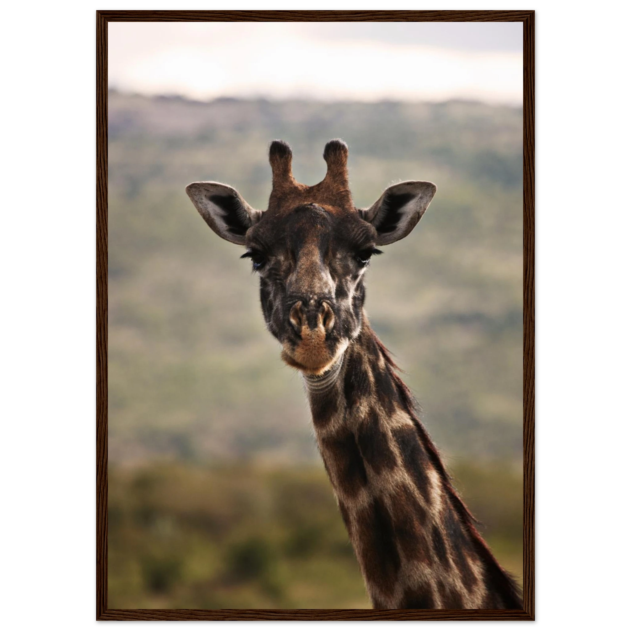 24322b0c-2cdd-4ca3-8503-b82e507b8264