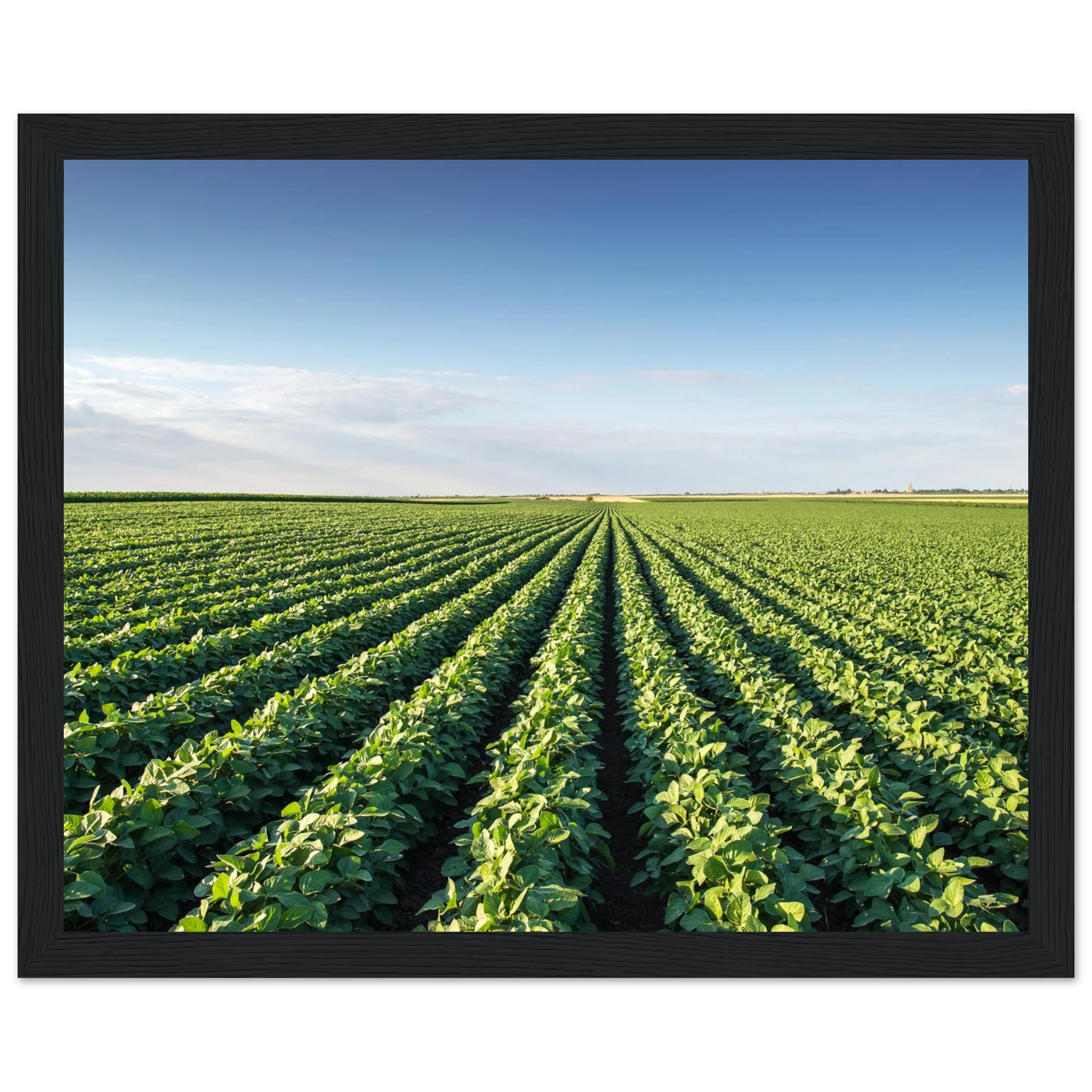 243a398f-d07c-401c-8221-ad9e7199913b