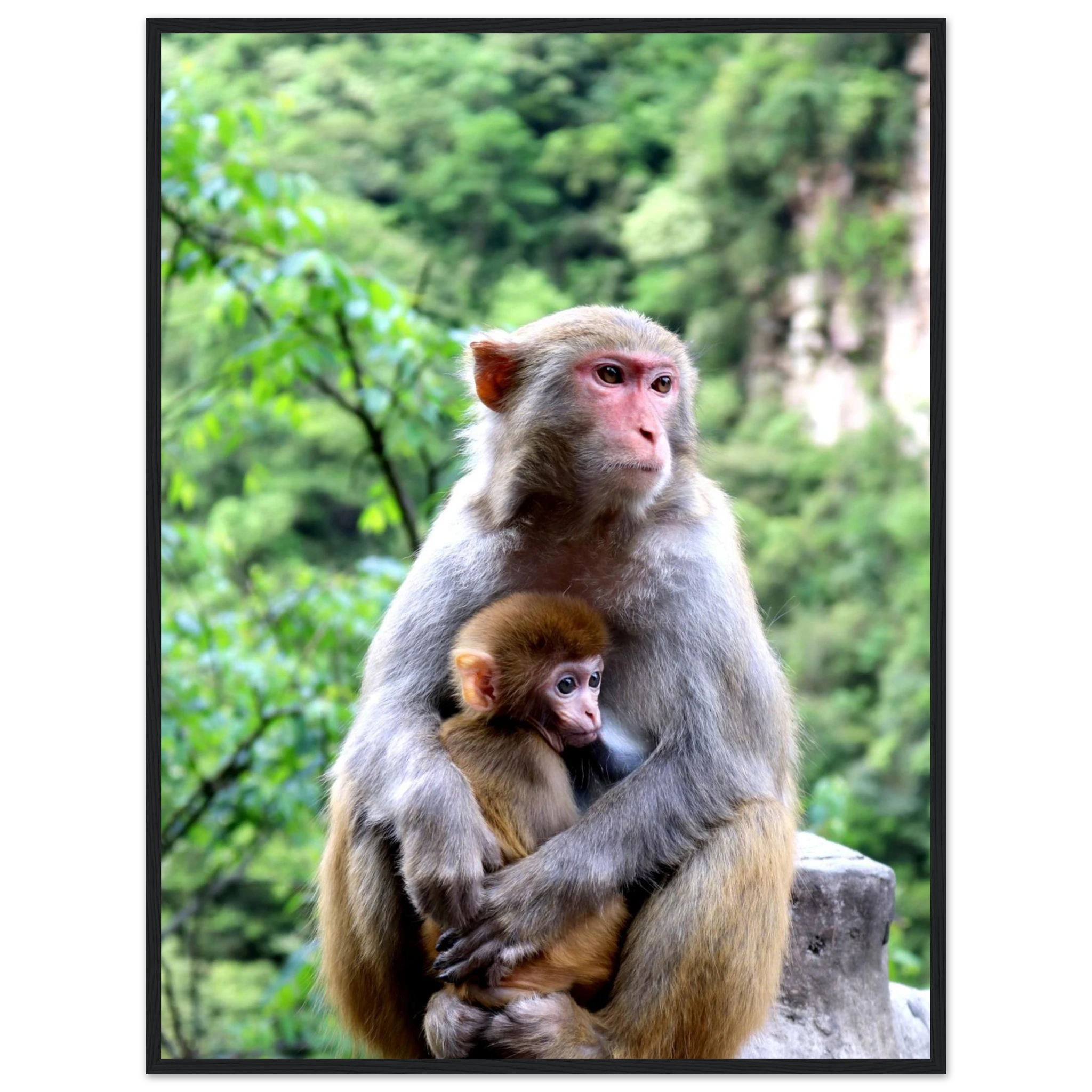 24420fc7-1c87-487c-b9ed-3bc4f79aa290