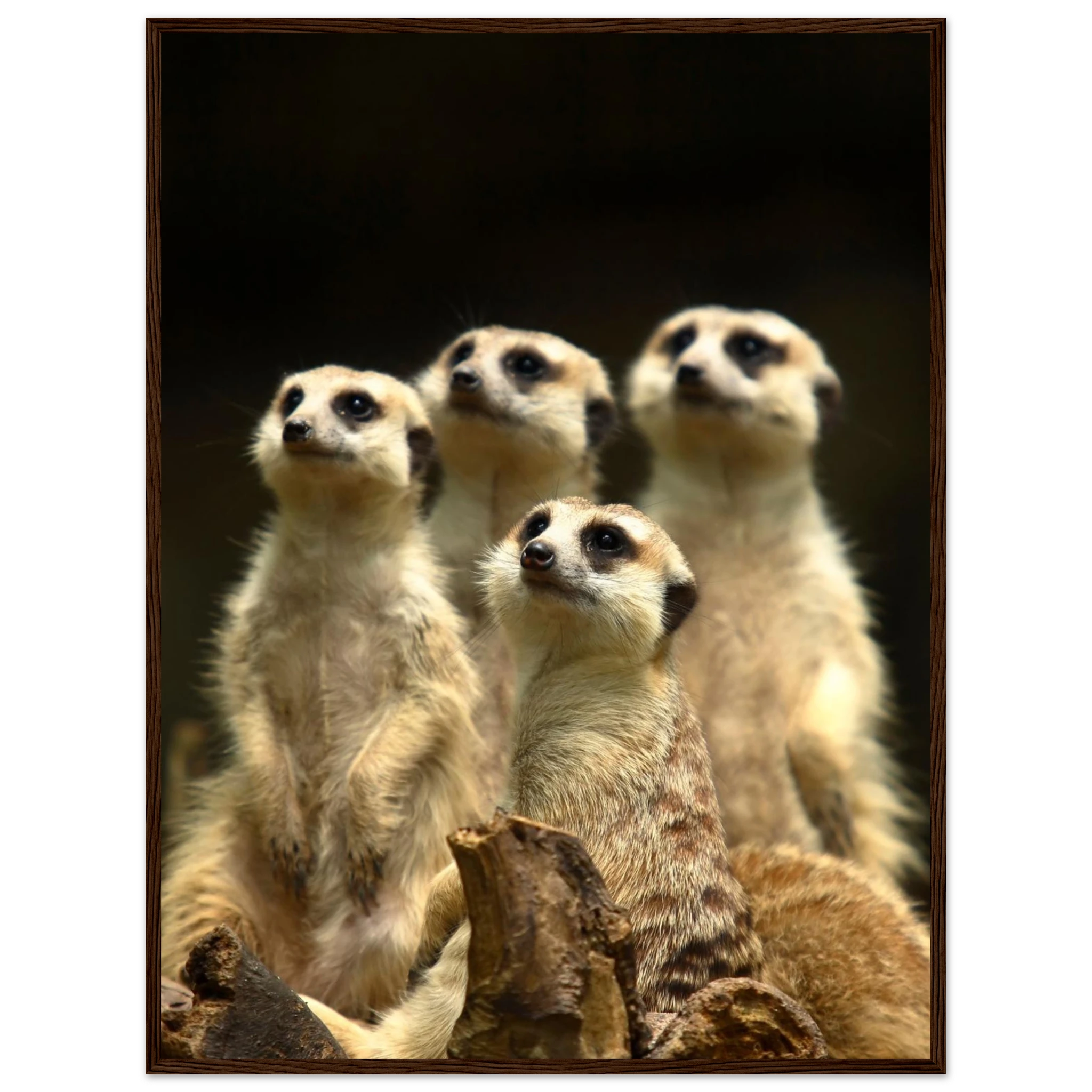 247c6cd8-d9dc-4ffd-9b43-fe48339c9f3e