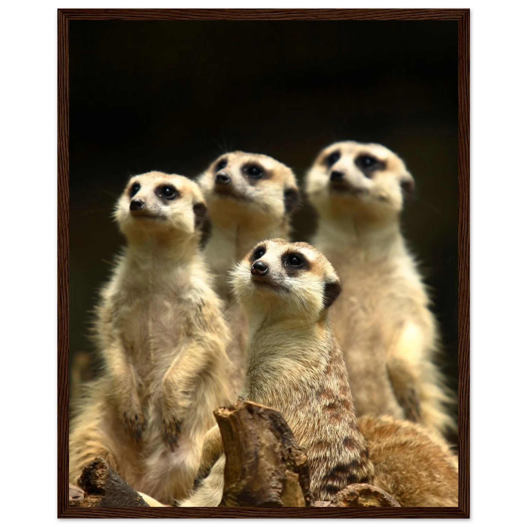 2482c829-b20c-4f07-9a54-ee727de51648