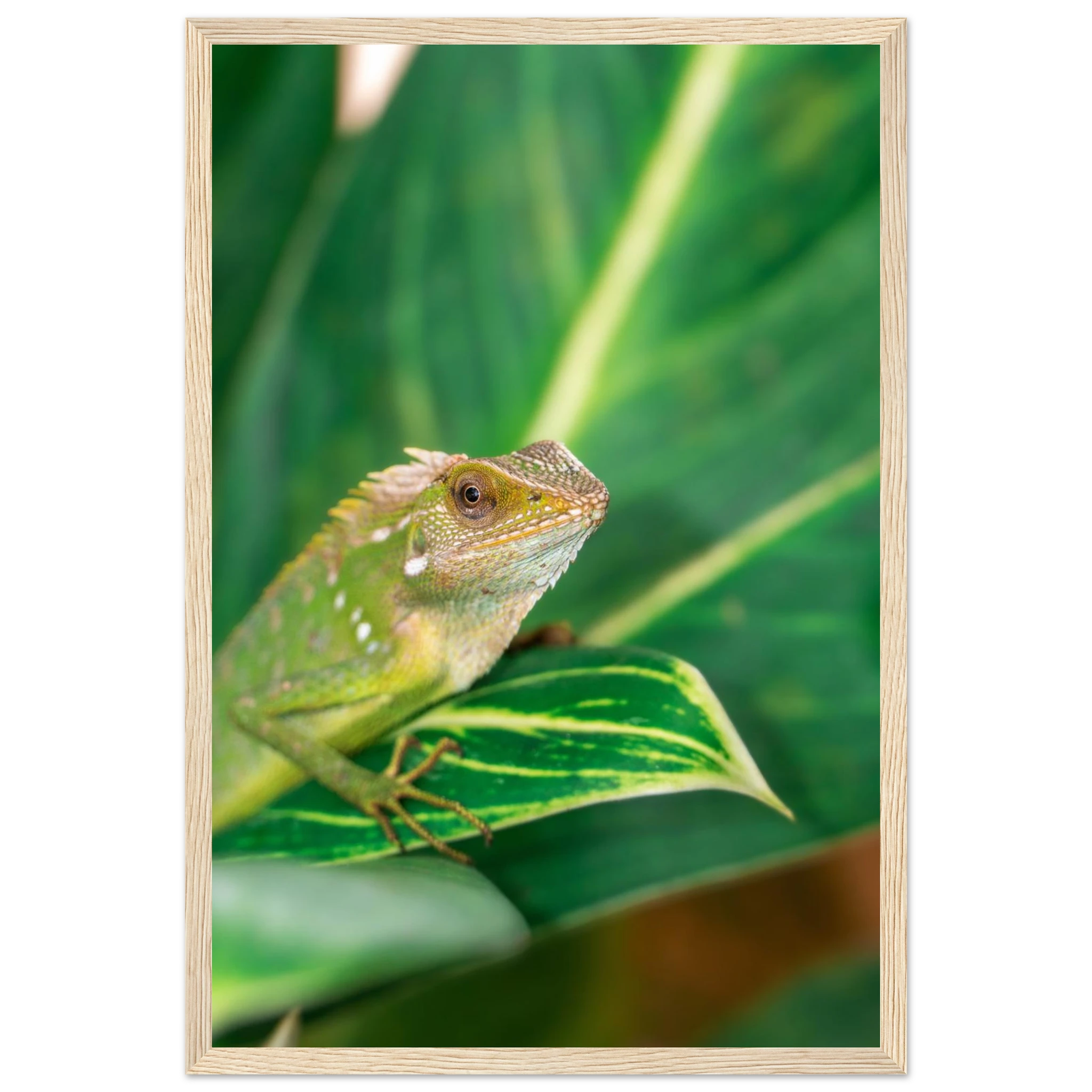 249081a5-64fc-4b98-9b0a-b0f57af9c5a4