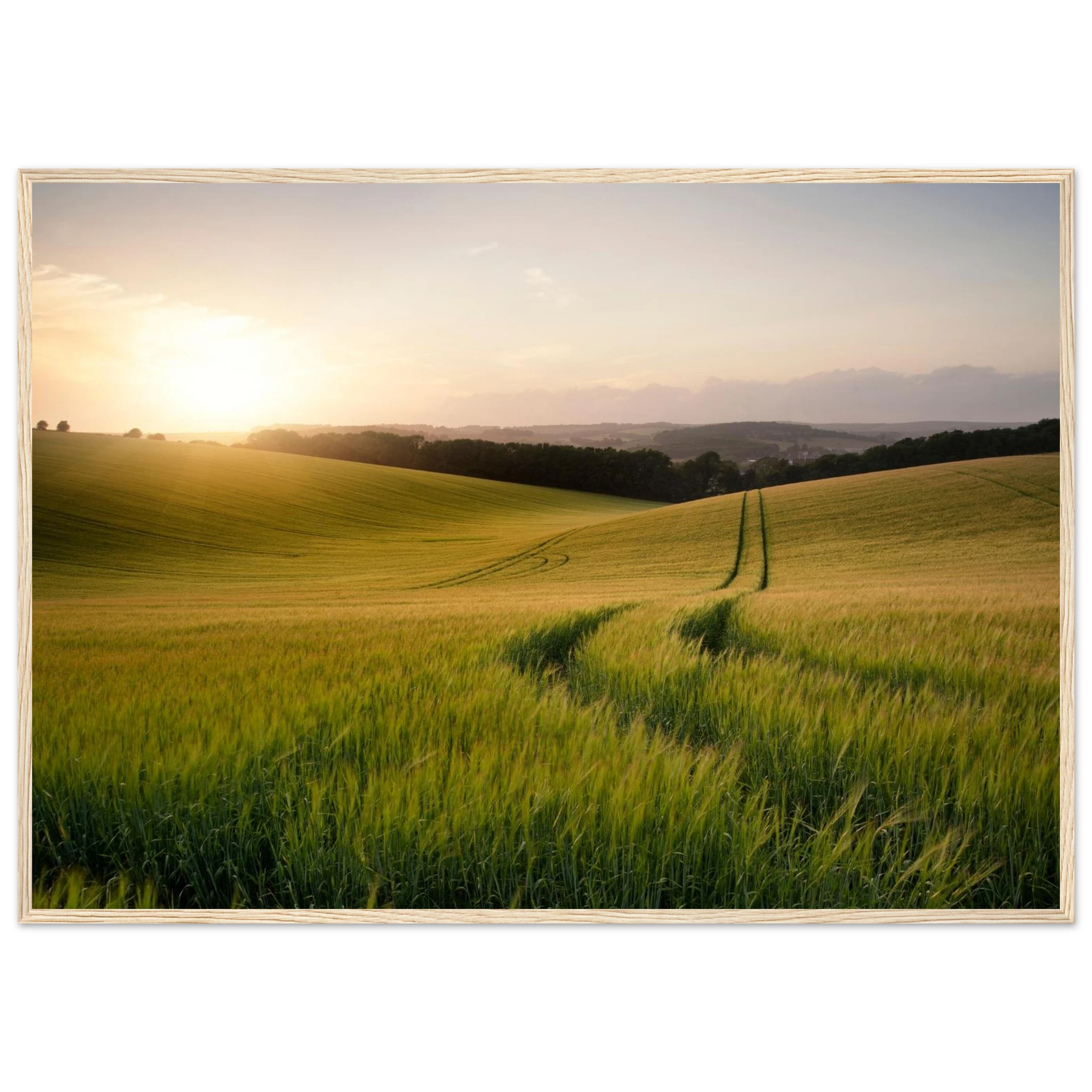 24a095e5-3c65-462d-b125-0ee3d7ac20b4