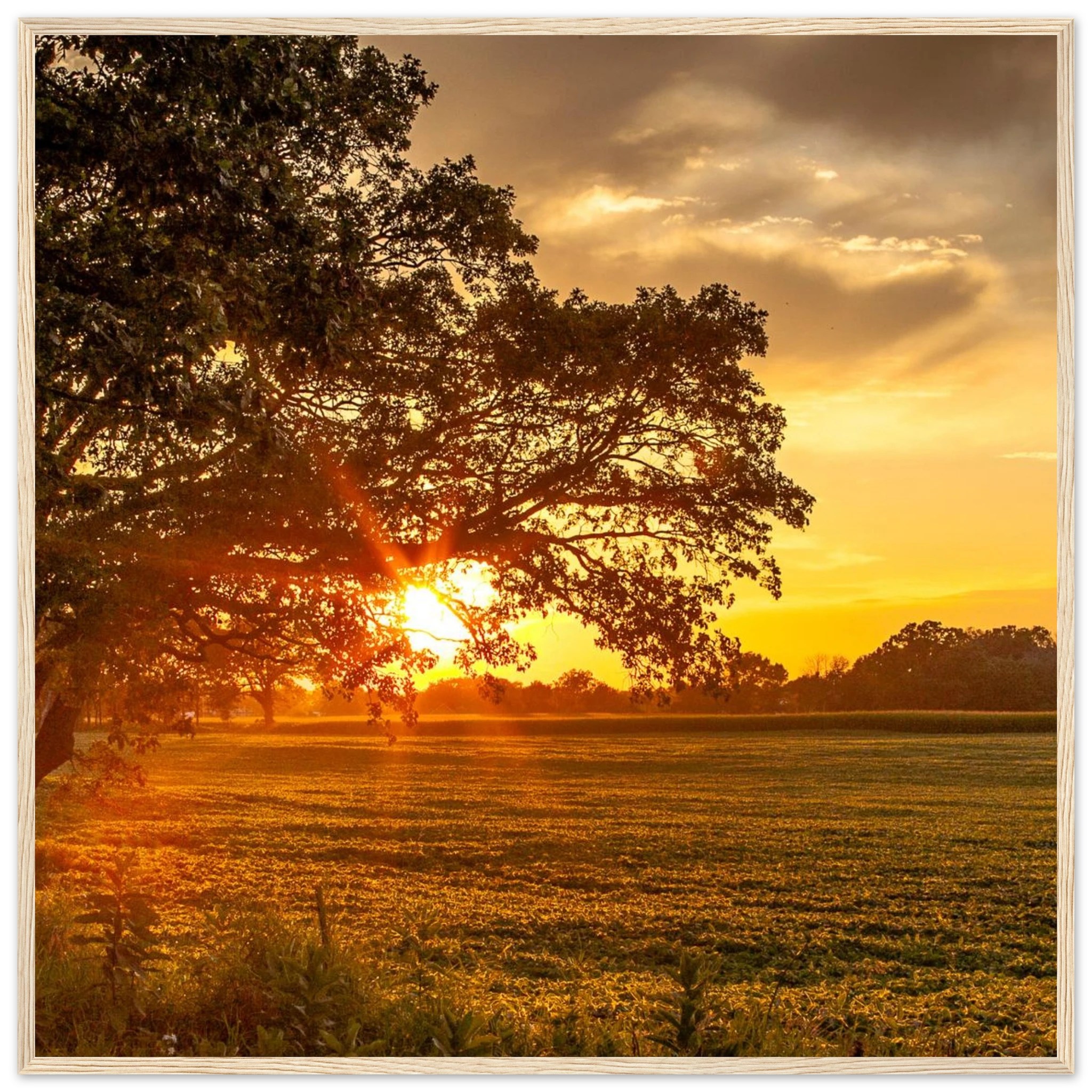 24a25bfe-9e99-4405-8431-4963a0c3f494