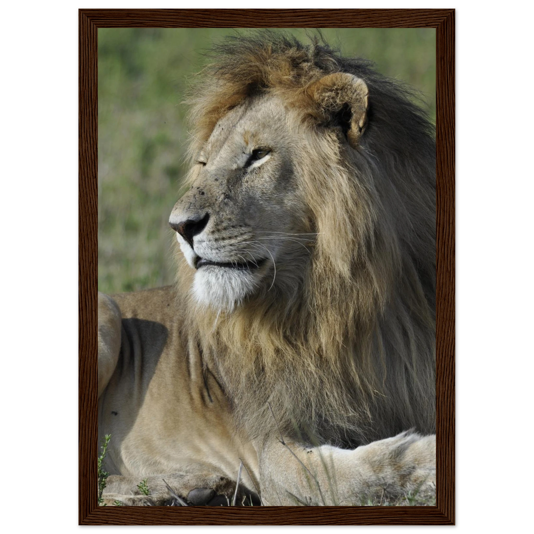 24b3ca67-5209-4252-927d-373f691975f7