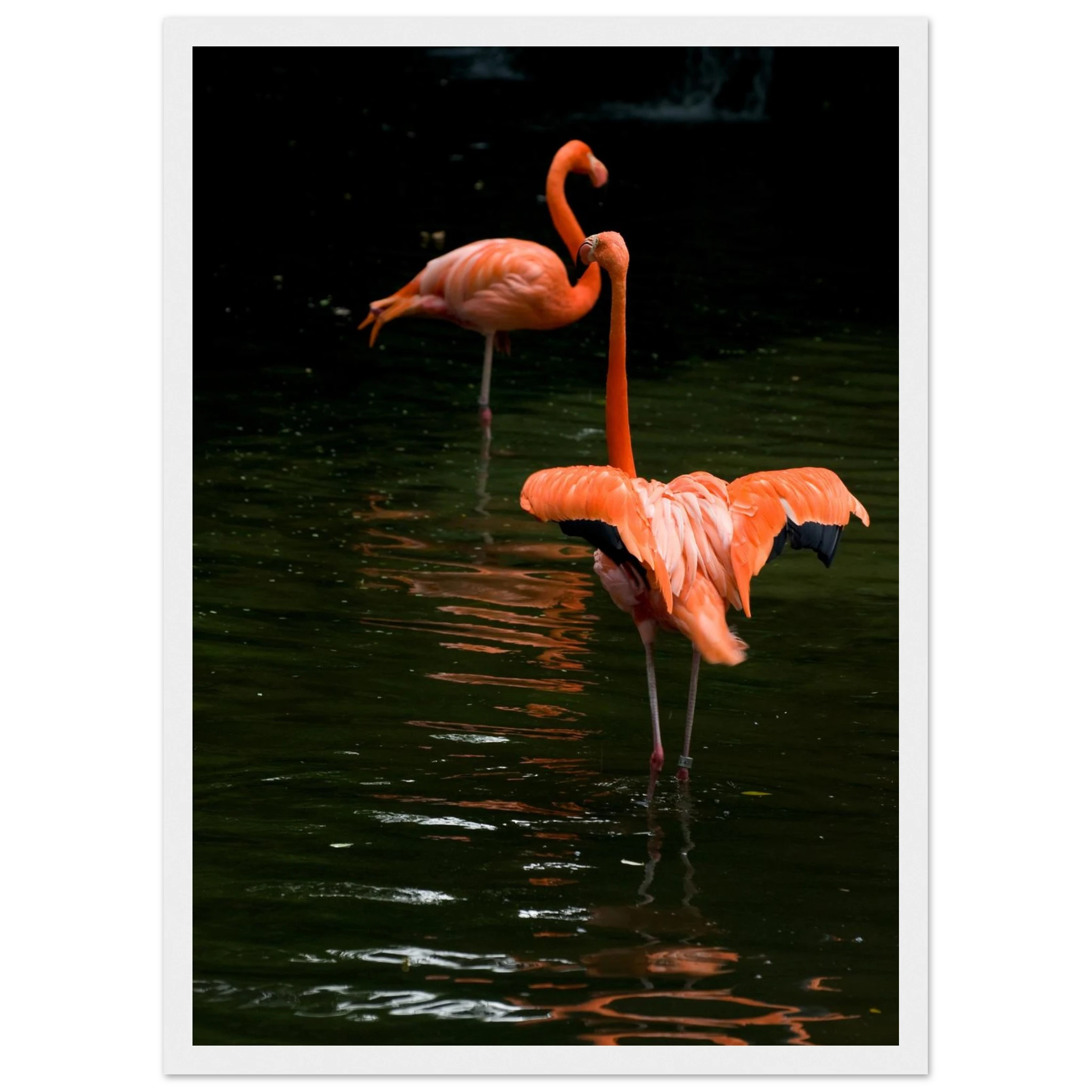 24d59982-f808-4047-8125-901c956e3703