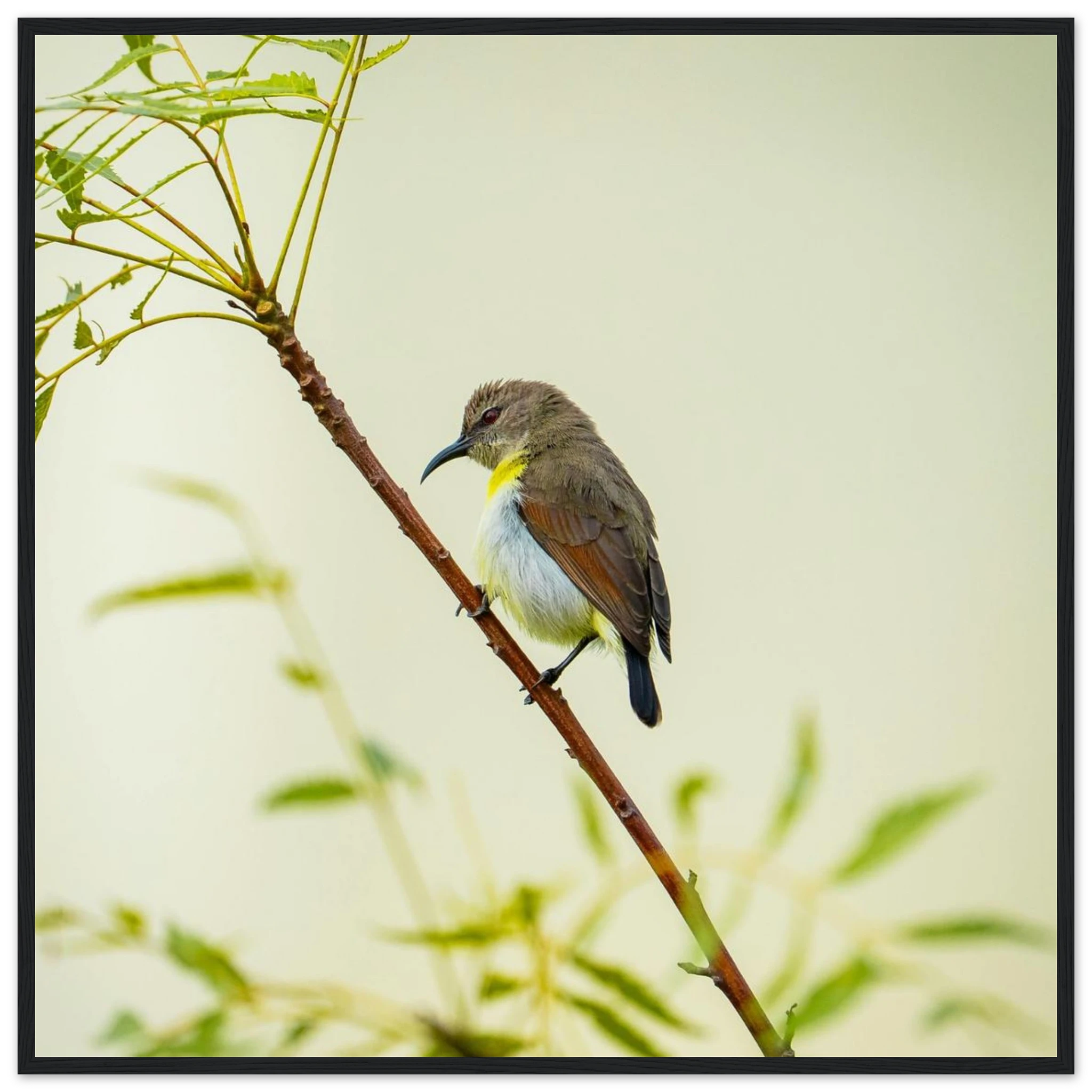 24d8cf68-ae39-414b-905c-e52381c48624