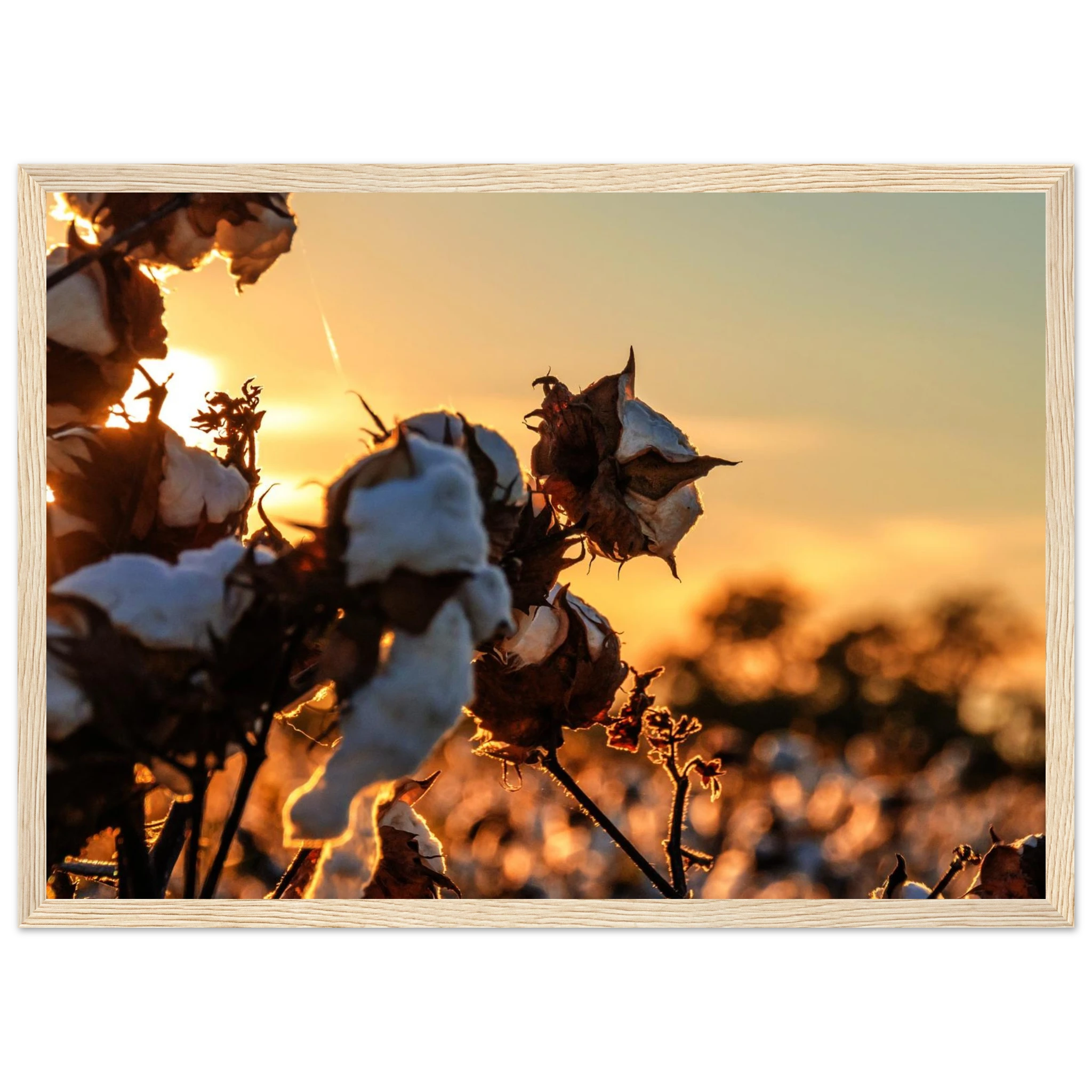 24ee599e-57ae-496b-a9ba-dadbc1b77597