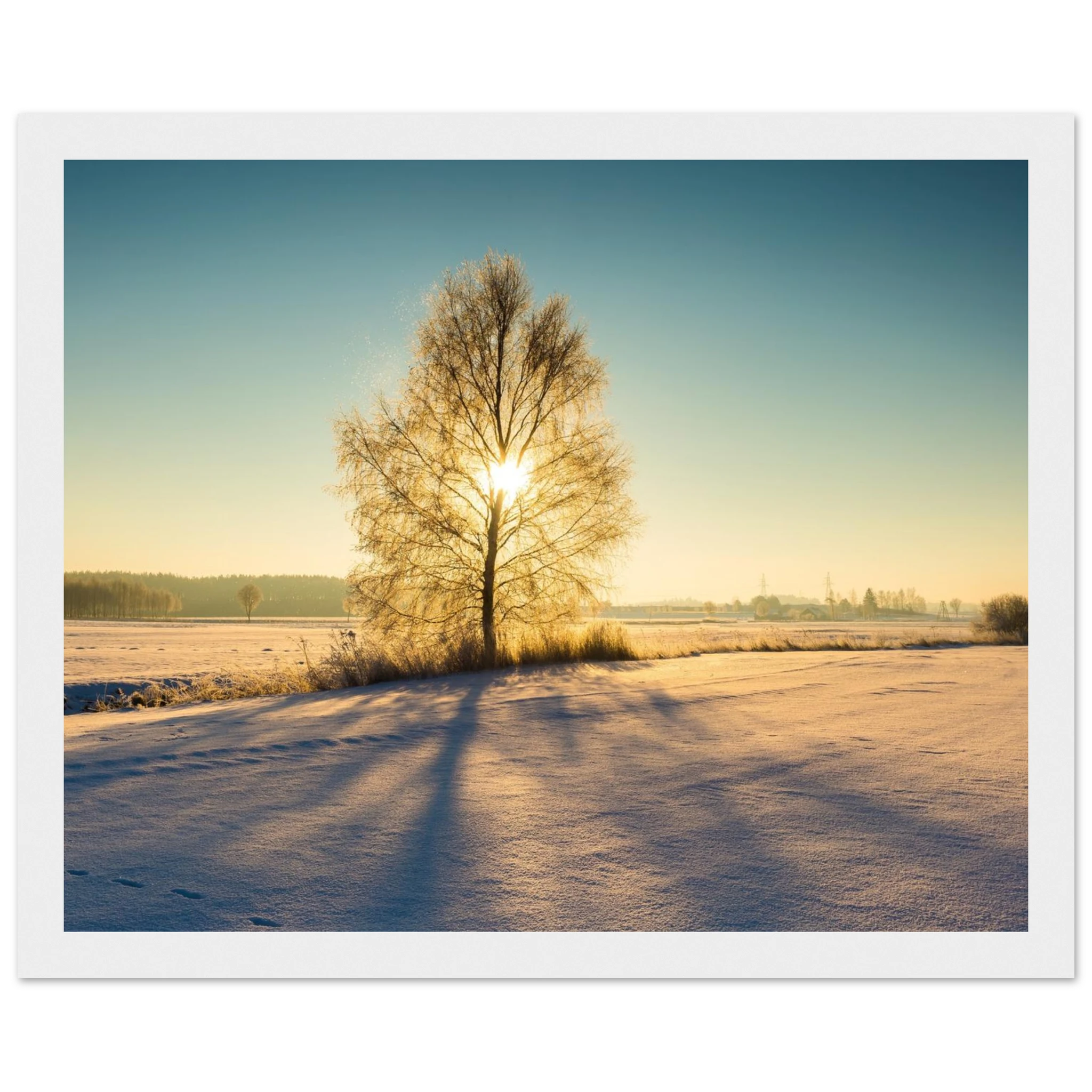 2501ffd3-bd52-42e7-b090-92ca28bff1e4