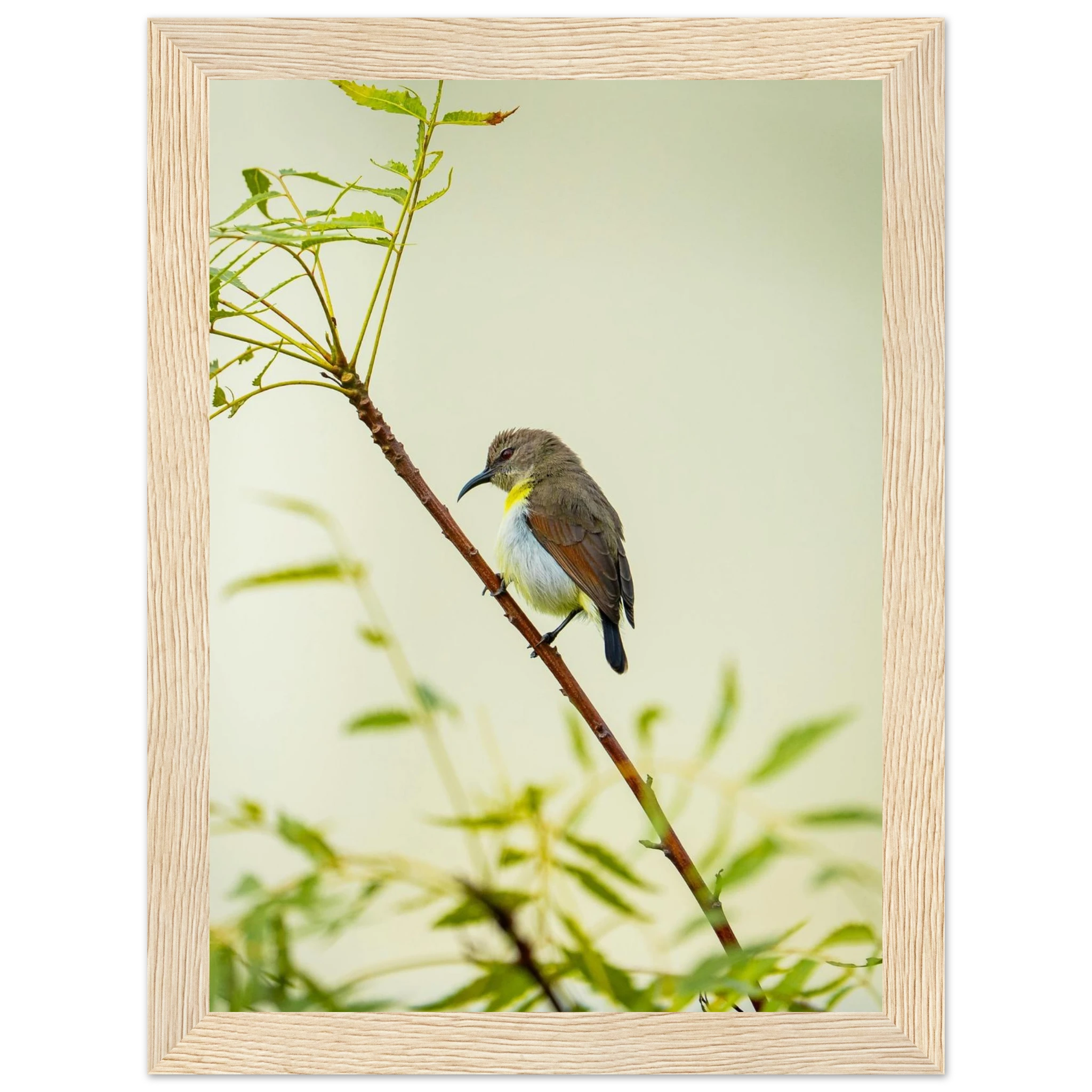 25361864-c1af-4d1f-83fc-be2ef075ae85