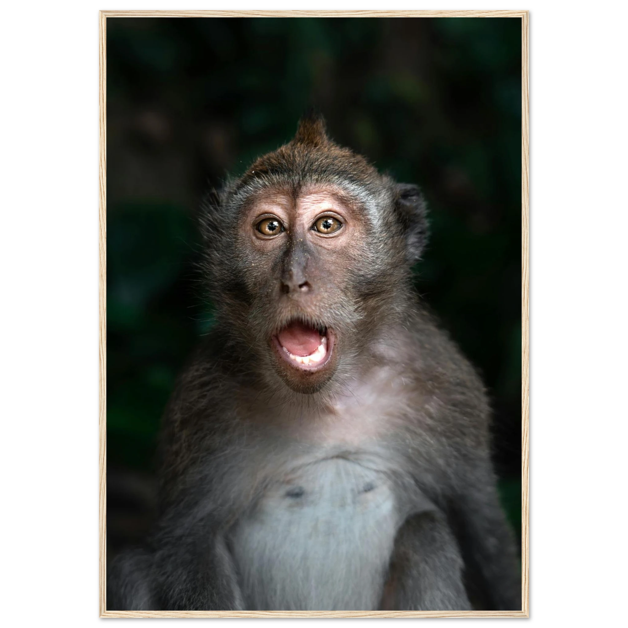 255613c0-042c-4df2-bc35-5fdf4e1b6d9f