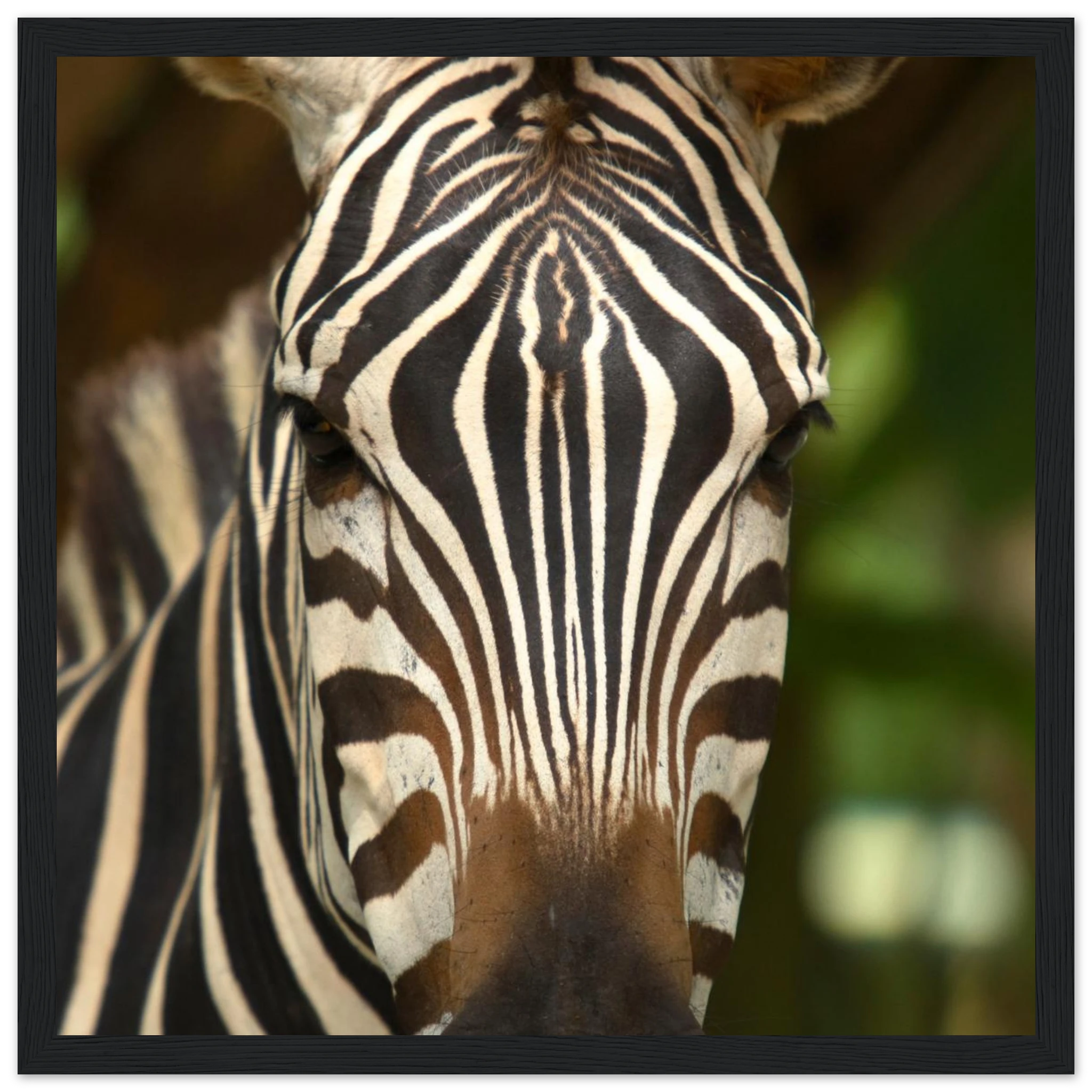 255c2b79-28c7-4d52-a9da-7c031eb00cbe