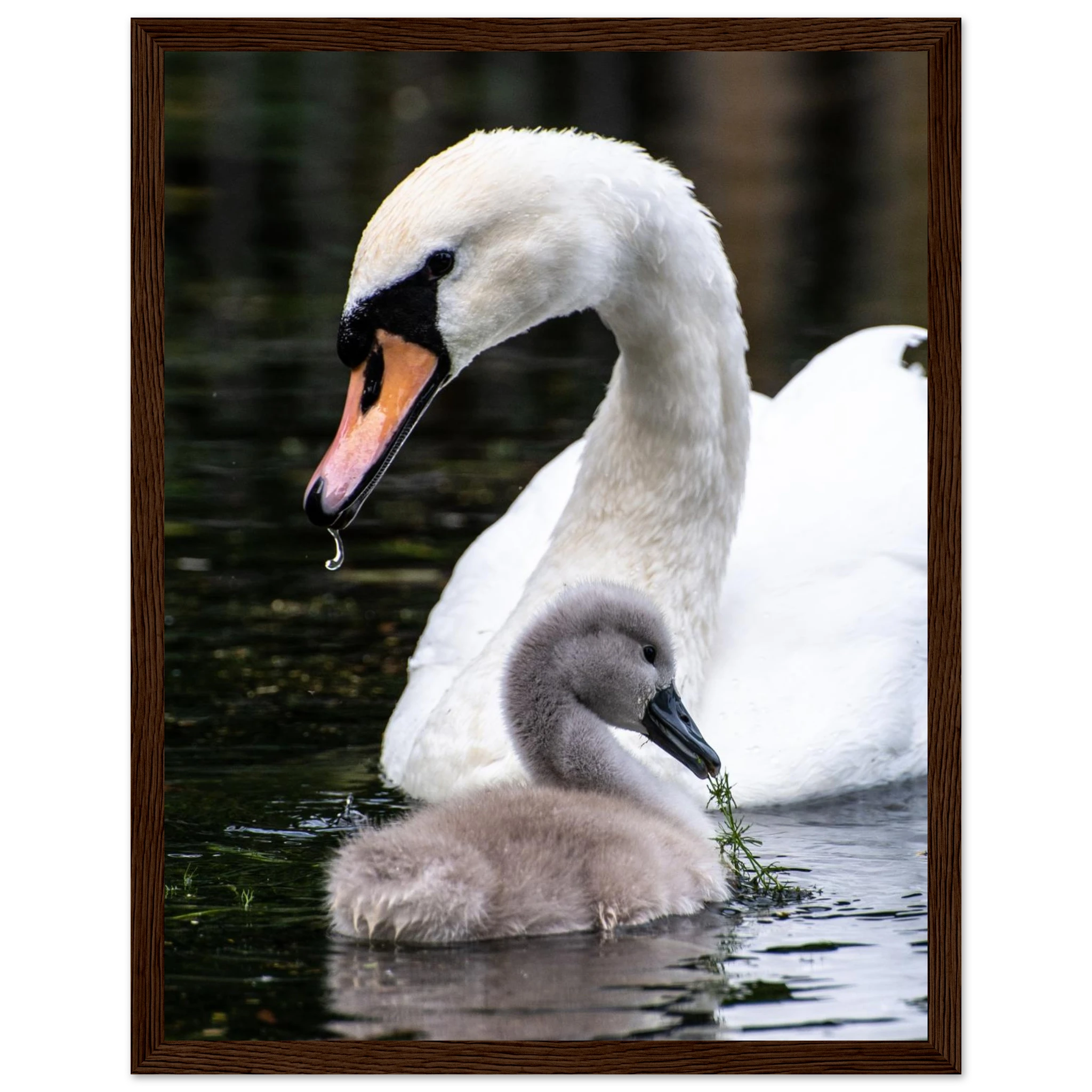 256482bd-1970-4d45-9f74-93c57b32731b