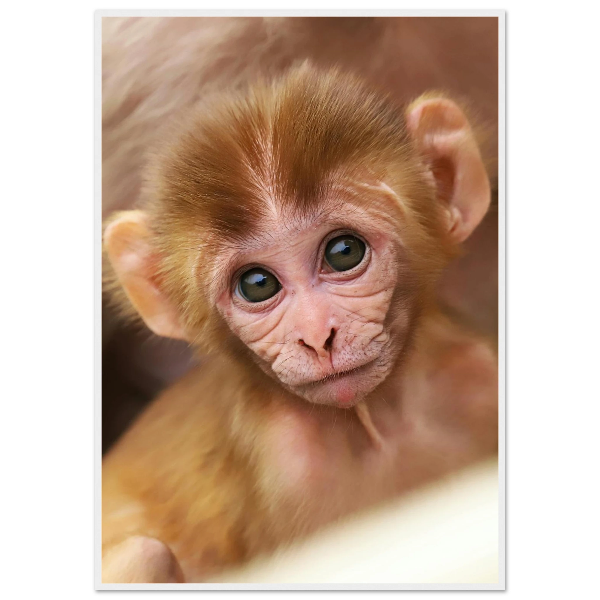 256fe2bf-7779-484b-826f-7aed10dc03f6