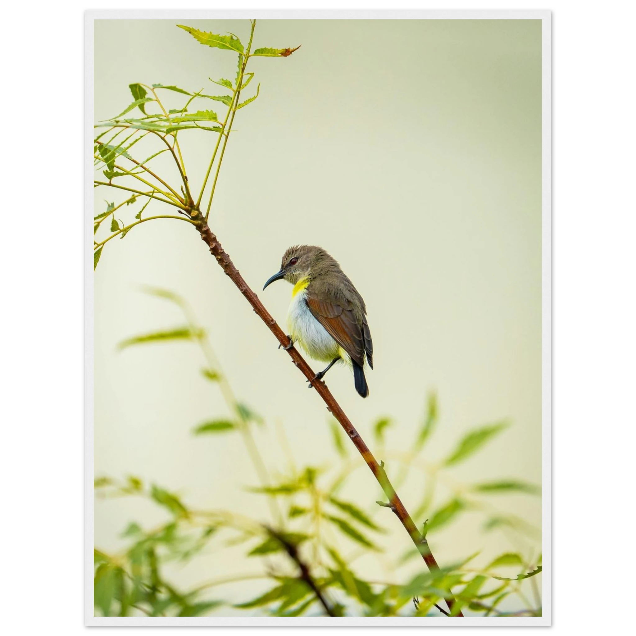 259aaead-ce8e-476f-90db-6115f4cc60e5