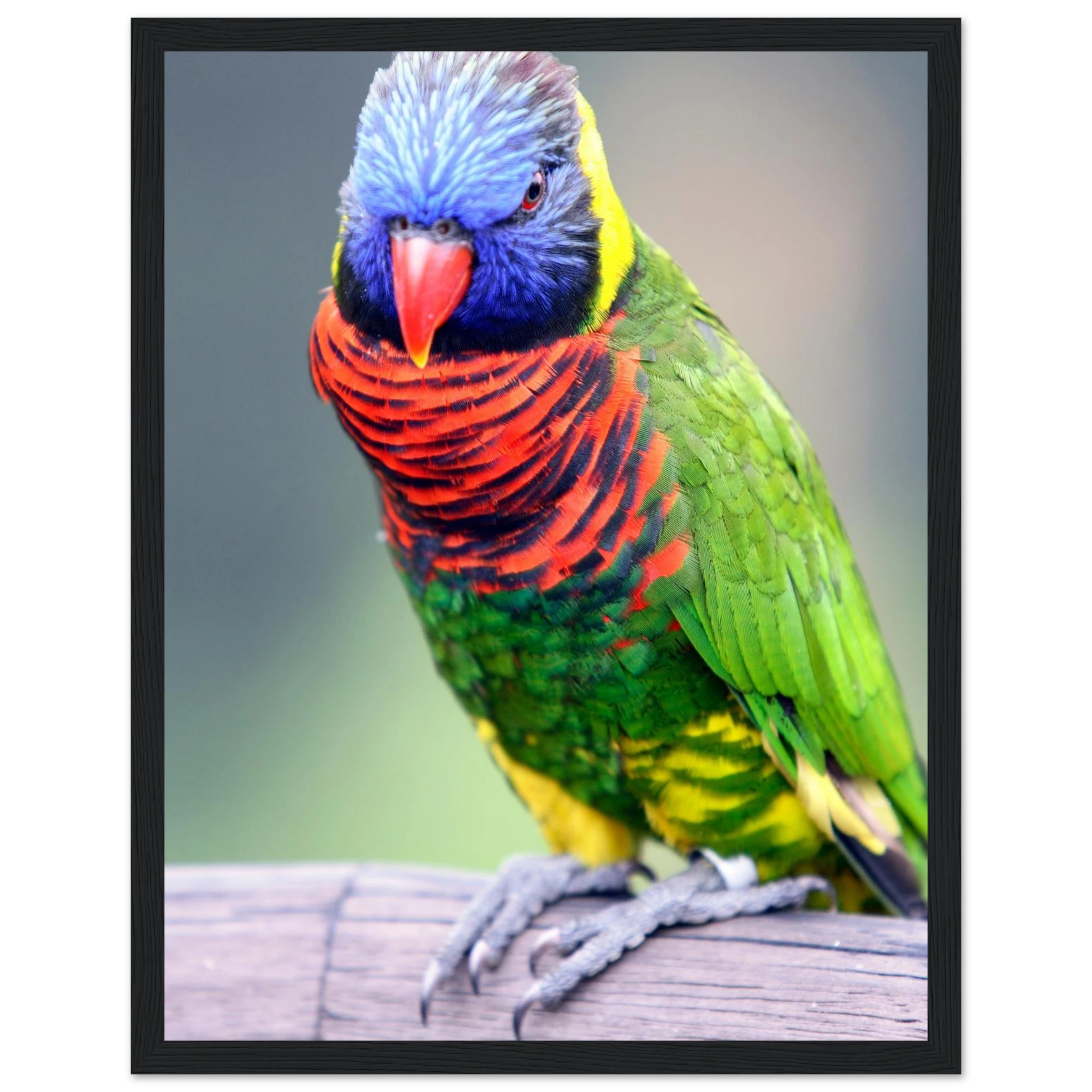 25a453e3-f17d-4265-826a-2af04b5cdb70