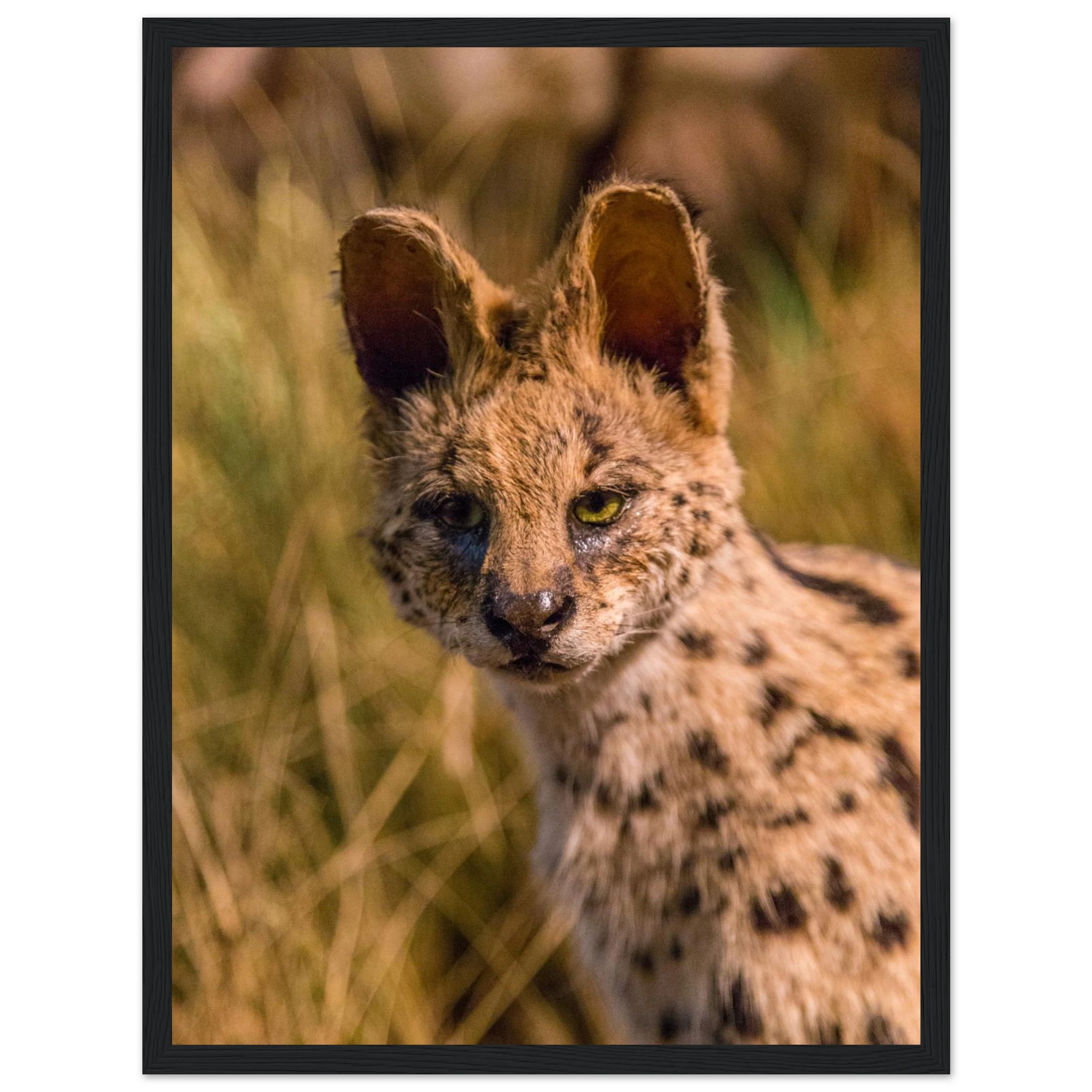 25b4a397-cd6d-4f2e-94f7-e20b2e946a59