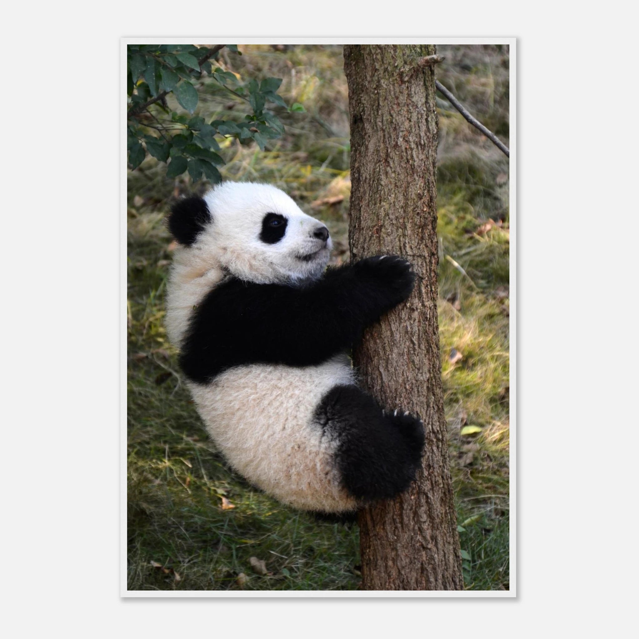 25bf9d06-d6a7-4999-bc18-7af5126d27b7