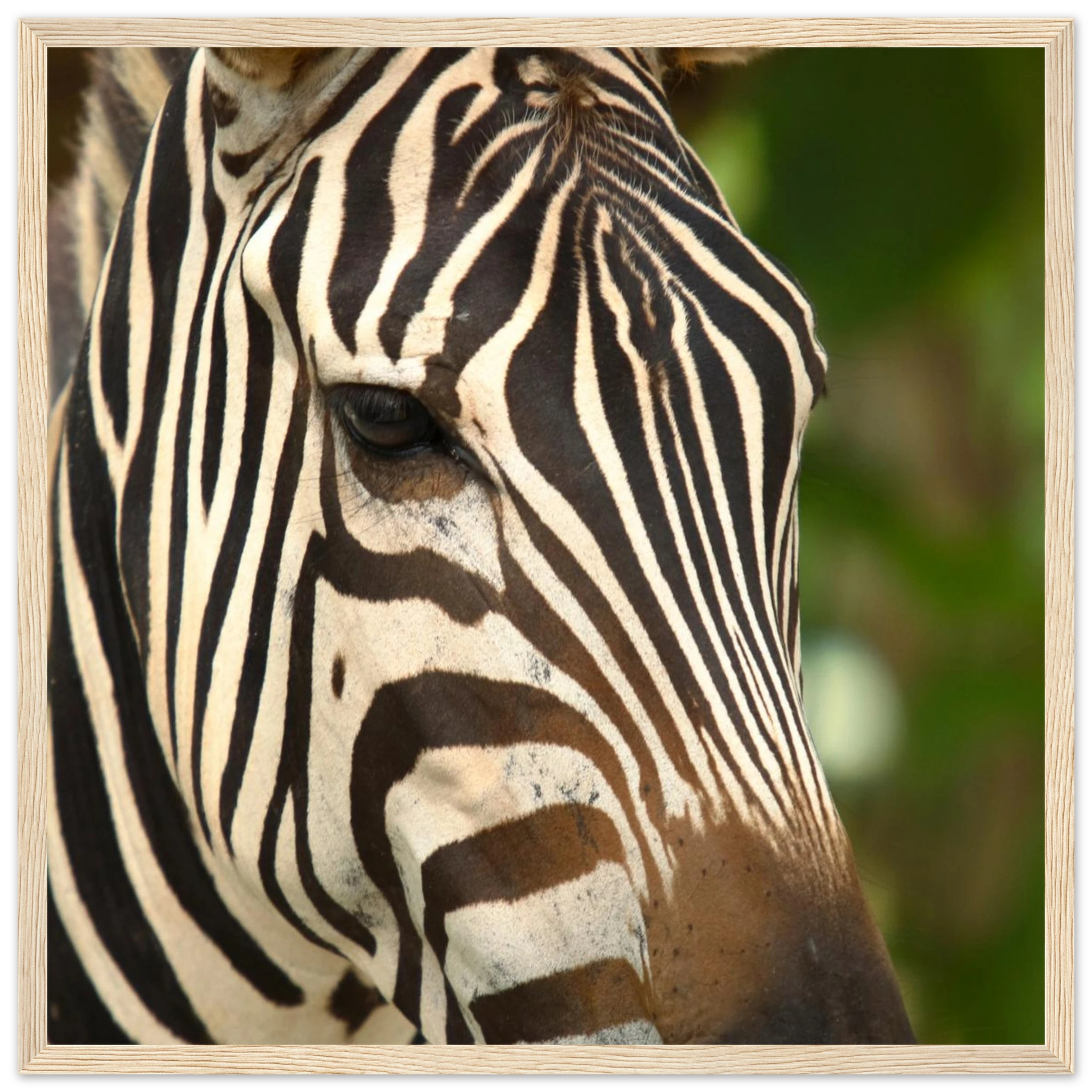 25c9f2b0-280e-4e65-bc75-5f756a7328f8