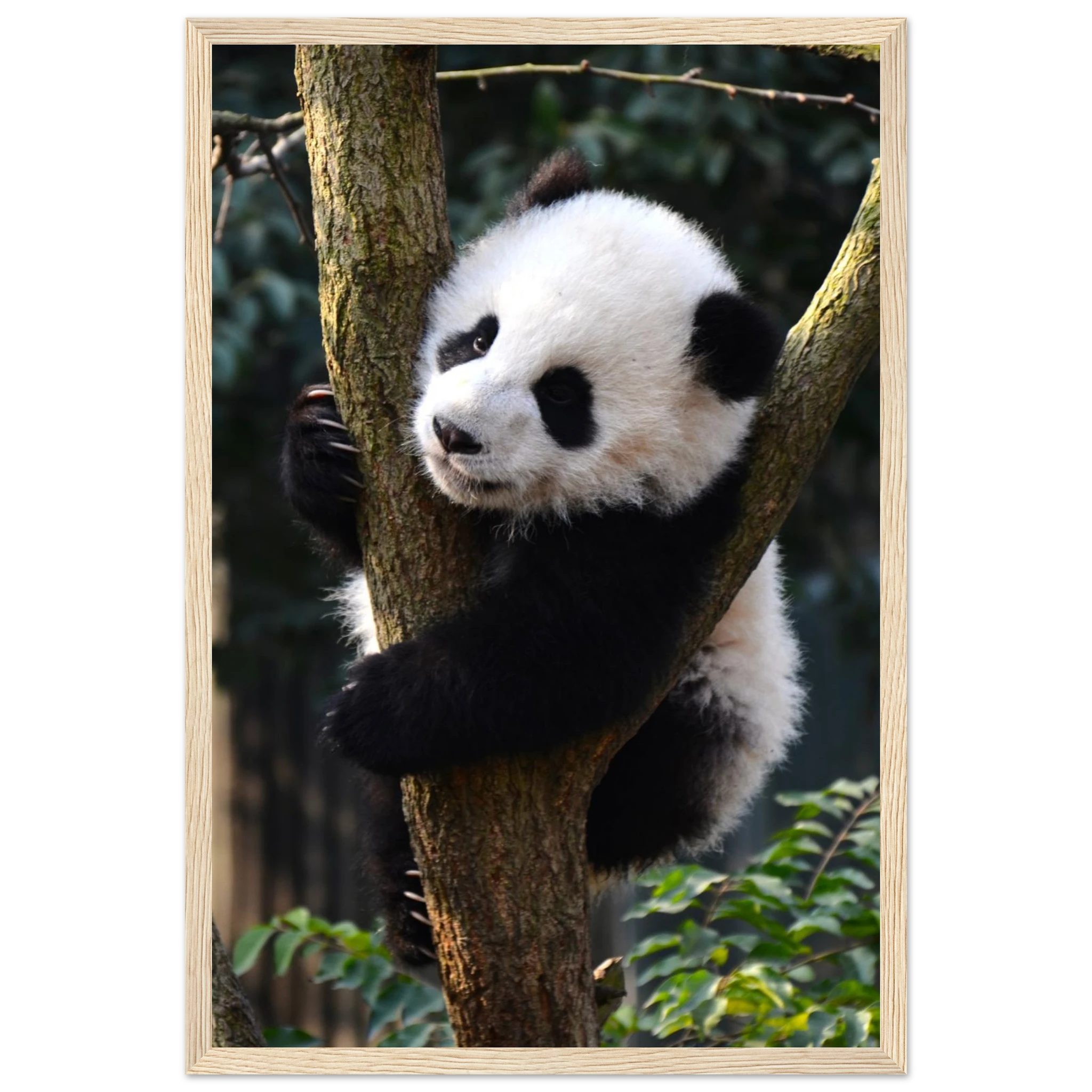 25f89241-9eb6-4ae2-b4c7-4e360a5be7df