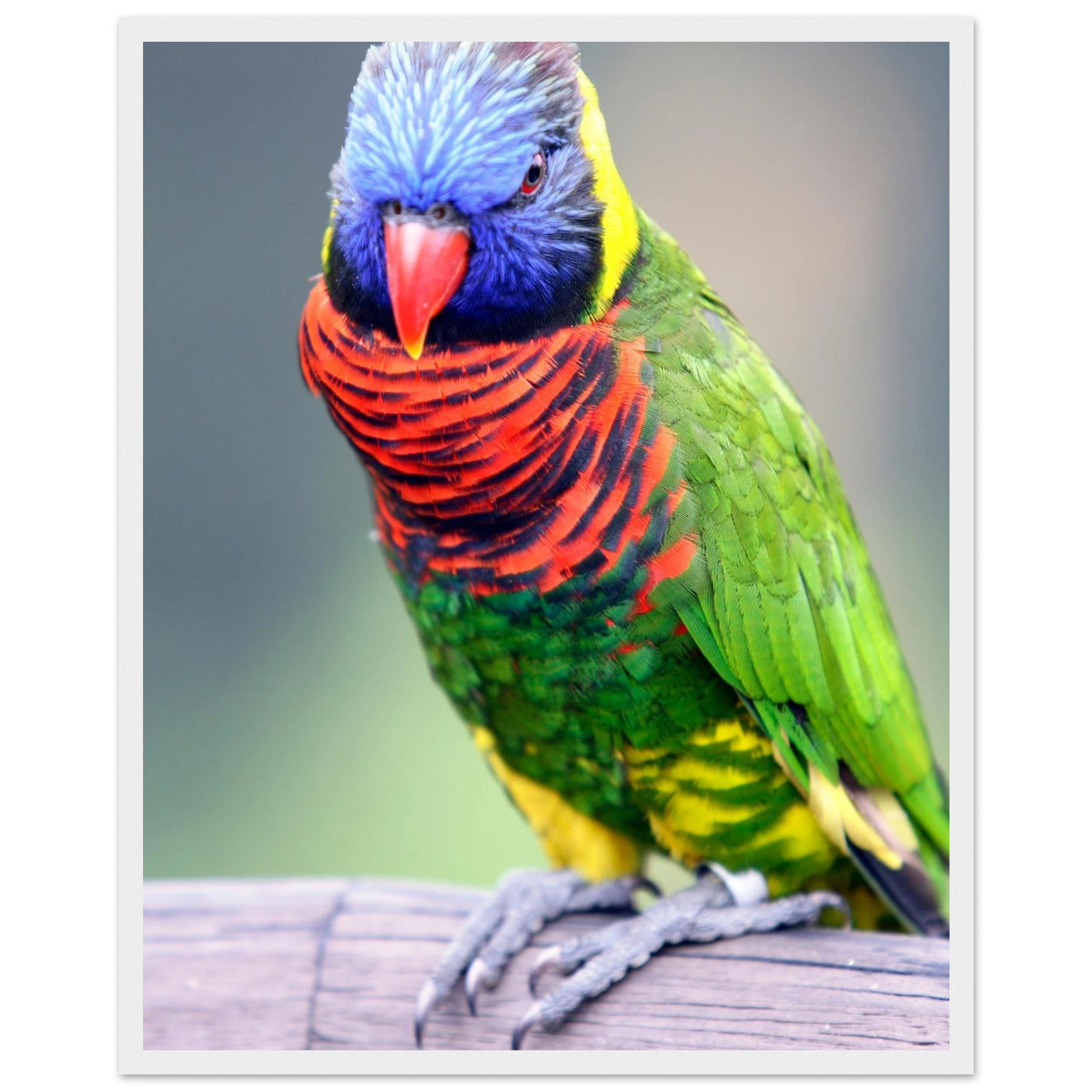 25fbdc58-fd0e-40e4-bd35-26da7e8e666d