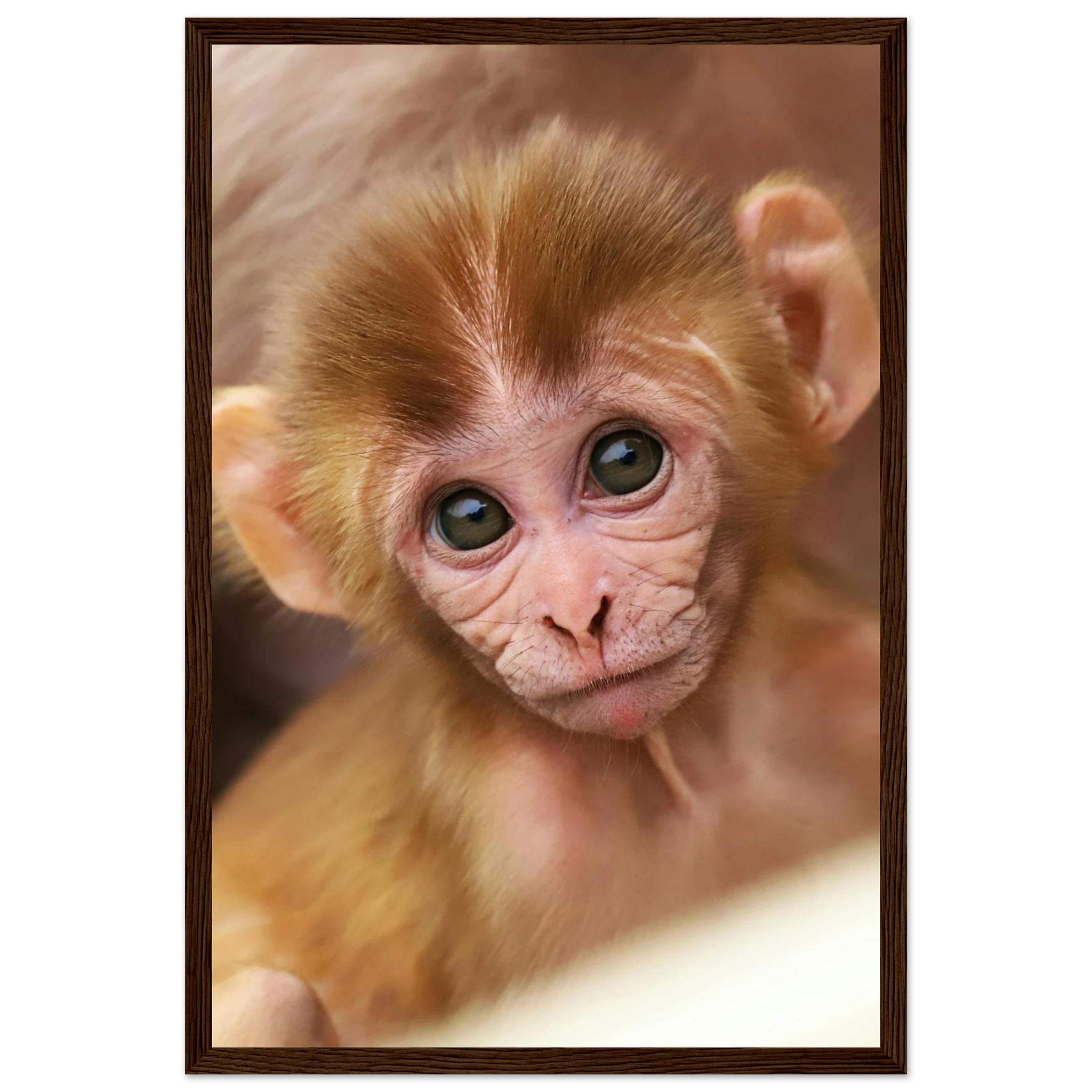 260b7ce6-cb38-4b44-8cea-8f08e15e8780