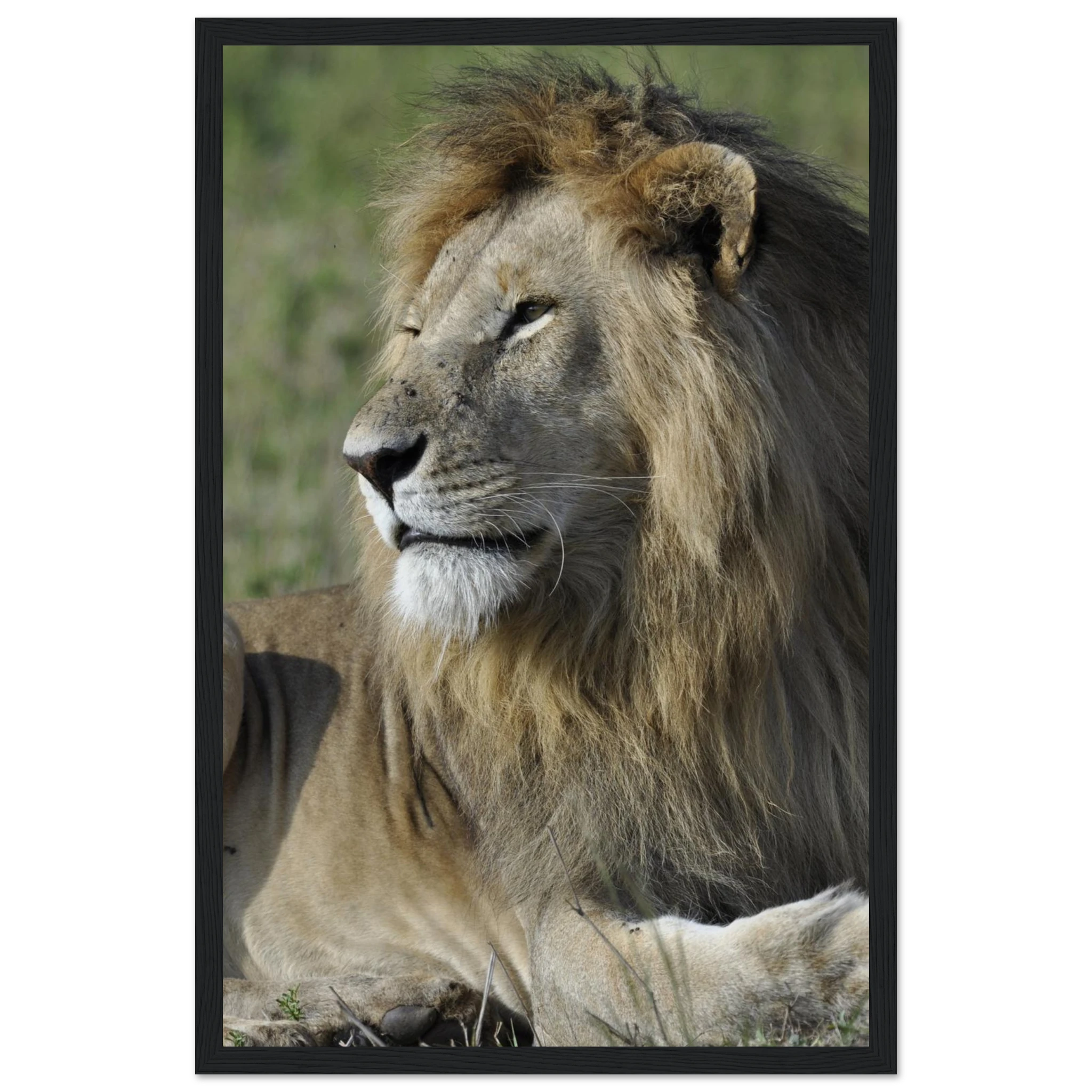 261fe5f6-34be-4789-af22-d738362cc641