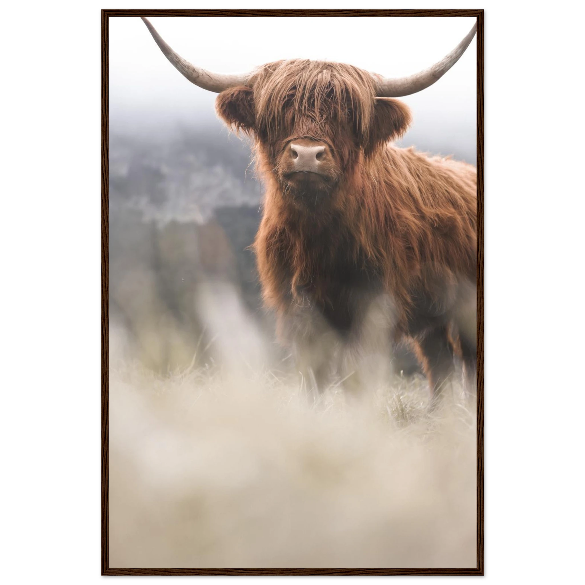 263ac4ae-4257-4878-ab71-16eb3291d993