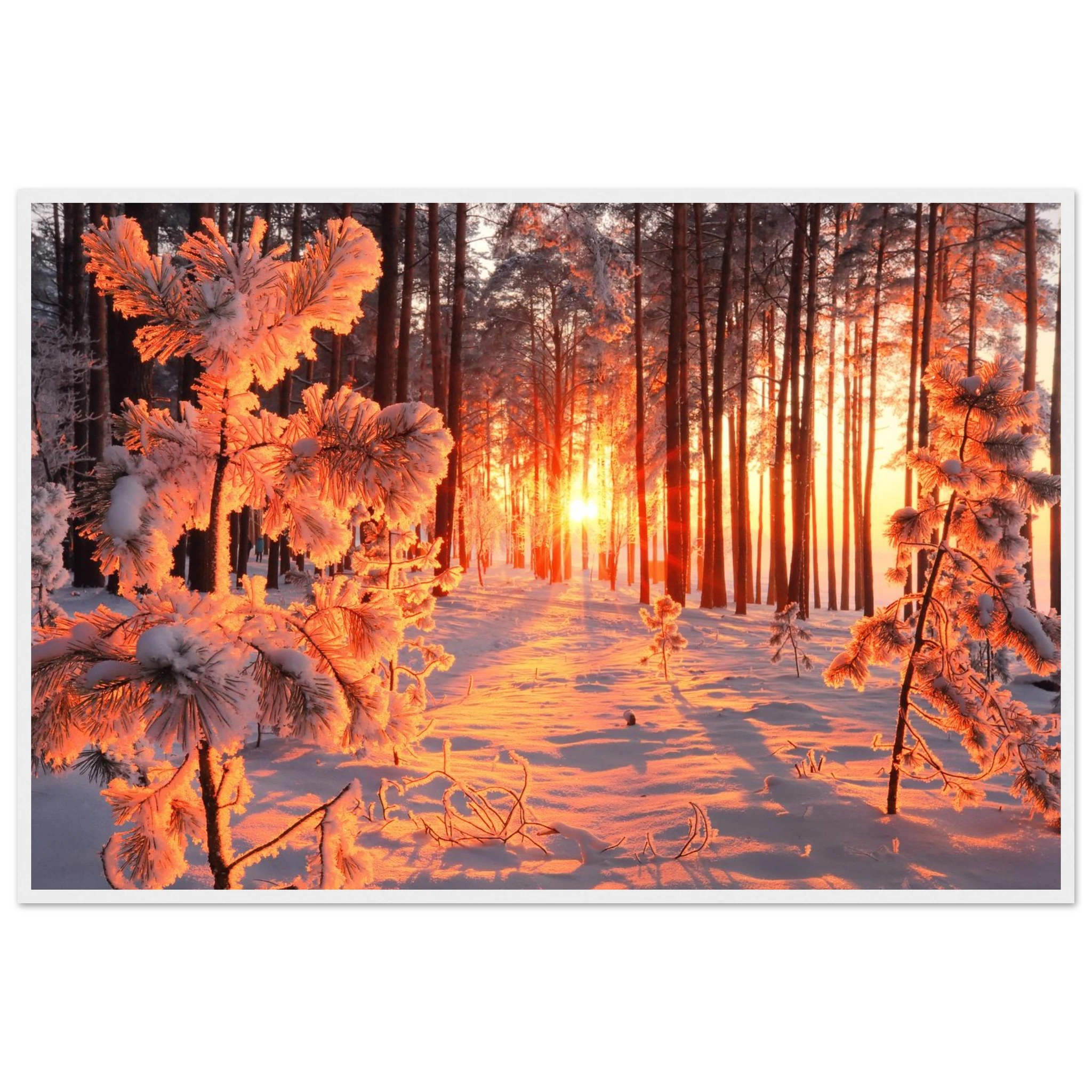 264d5bea-ca2f-4c56-aa58-dc62503b1524