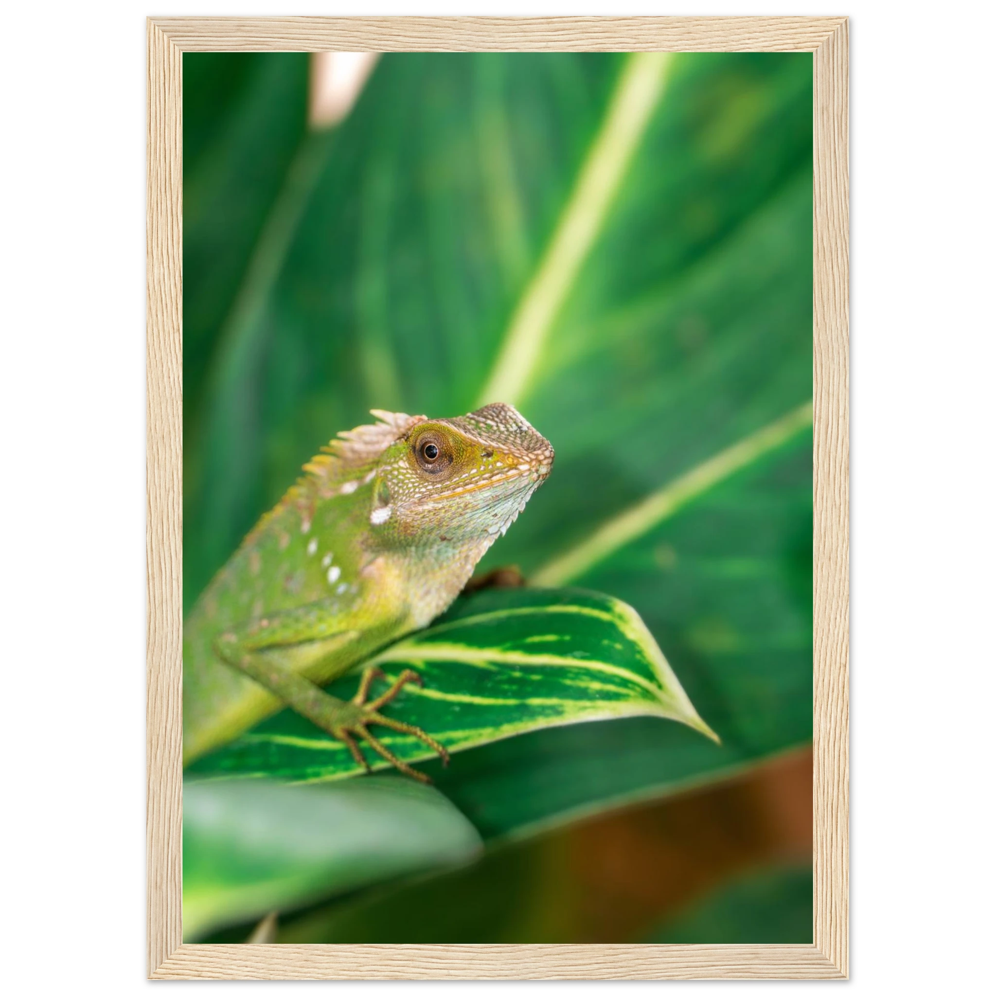 266a656a-fc1c-492f-a6cf-94338ef8c49f