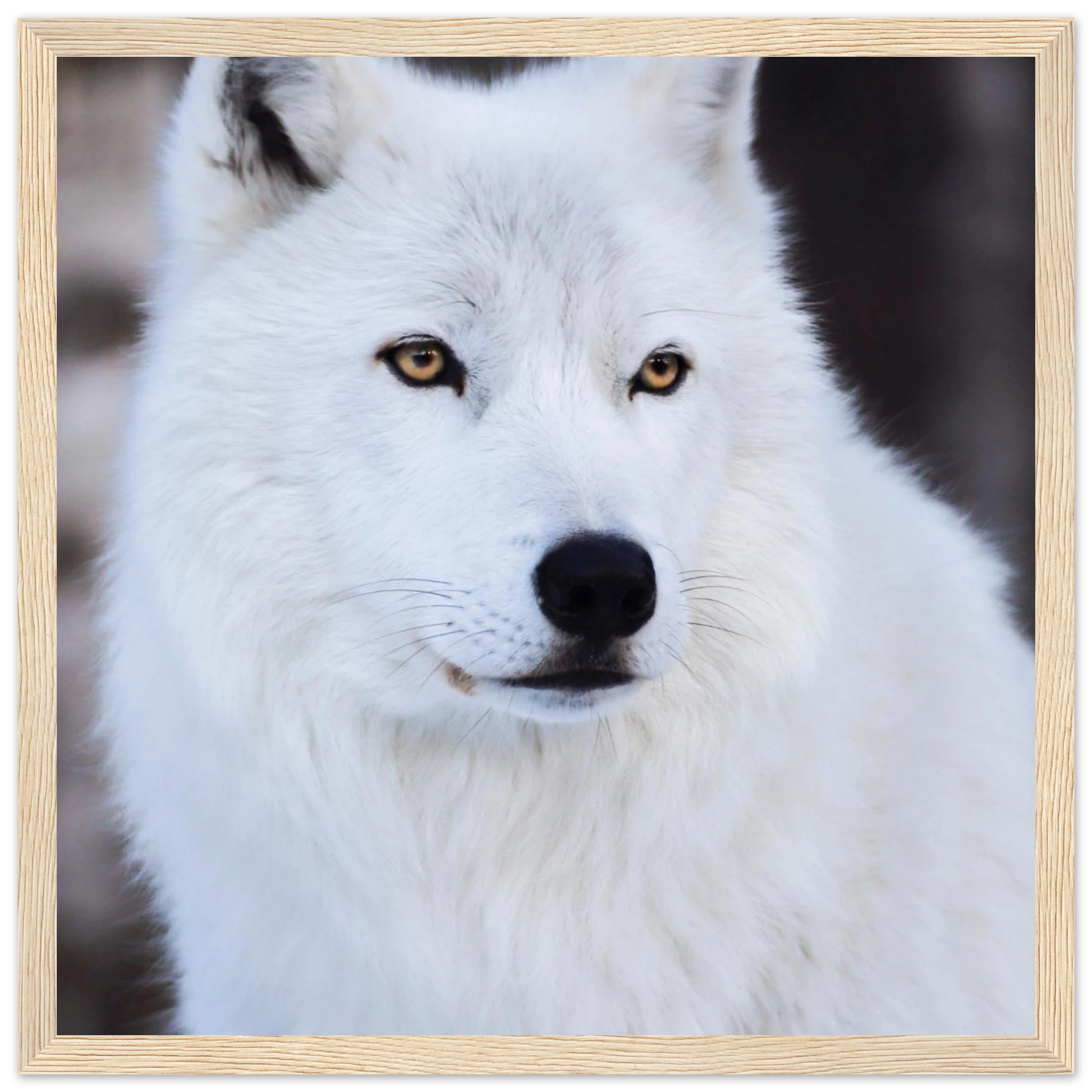 266cb2b6-d01f-47cc-adfa-e05c99bc87fa