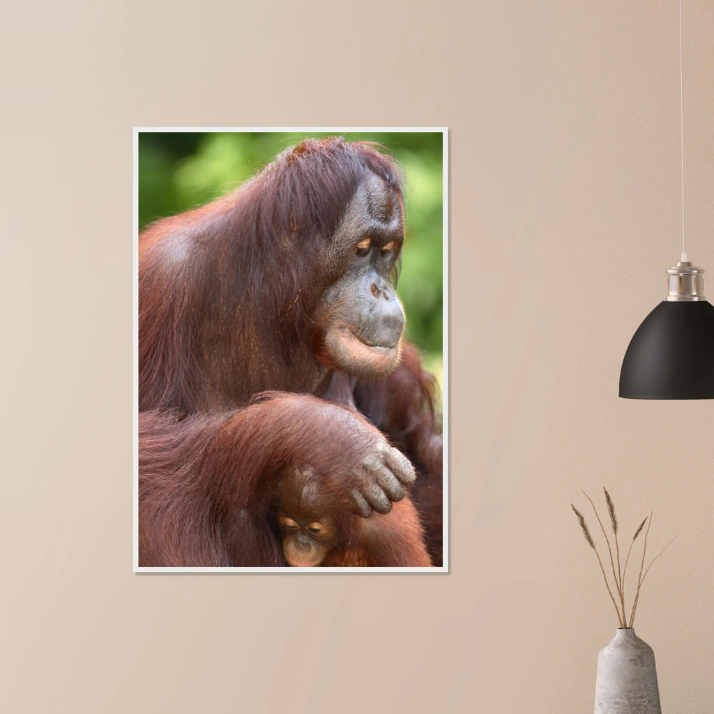 26944646-9744-4b3a-9ba9-2b8c9380214a