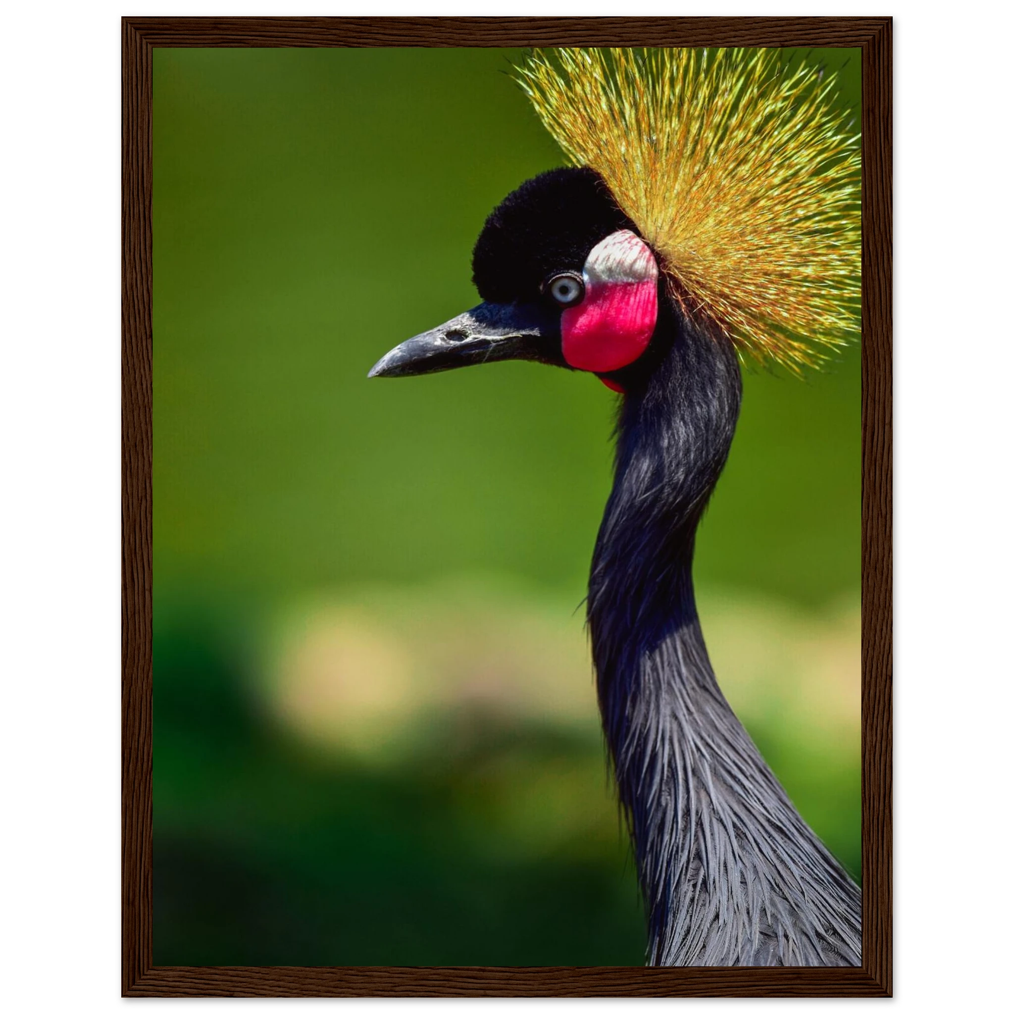 26af8070-ffd1-472c-8ce0-8764bffff6ab