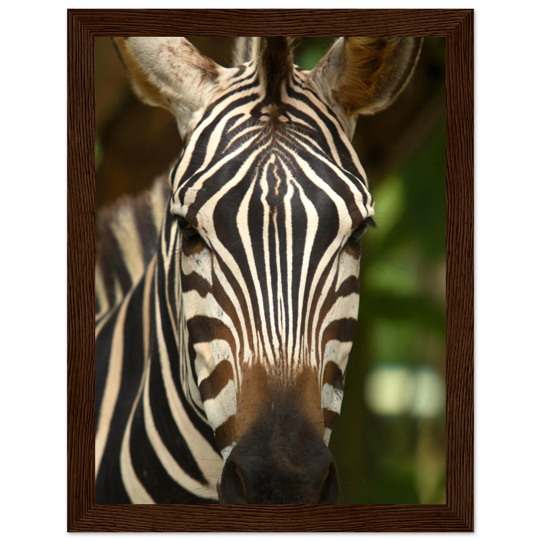 26bfd2e6-f248-4dbe-b24d-2ed978ad3bd8