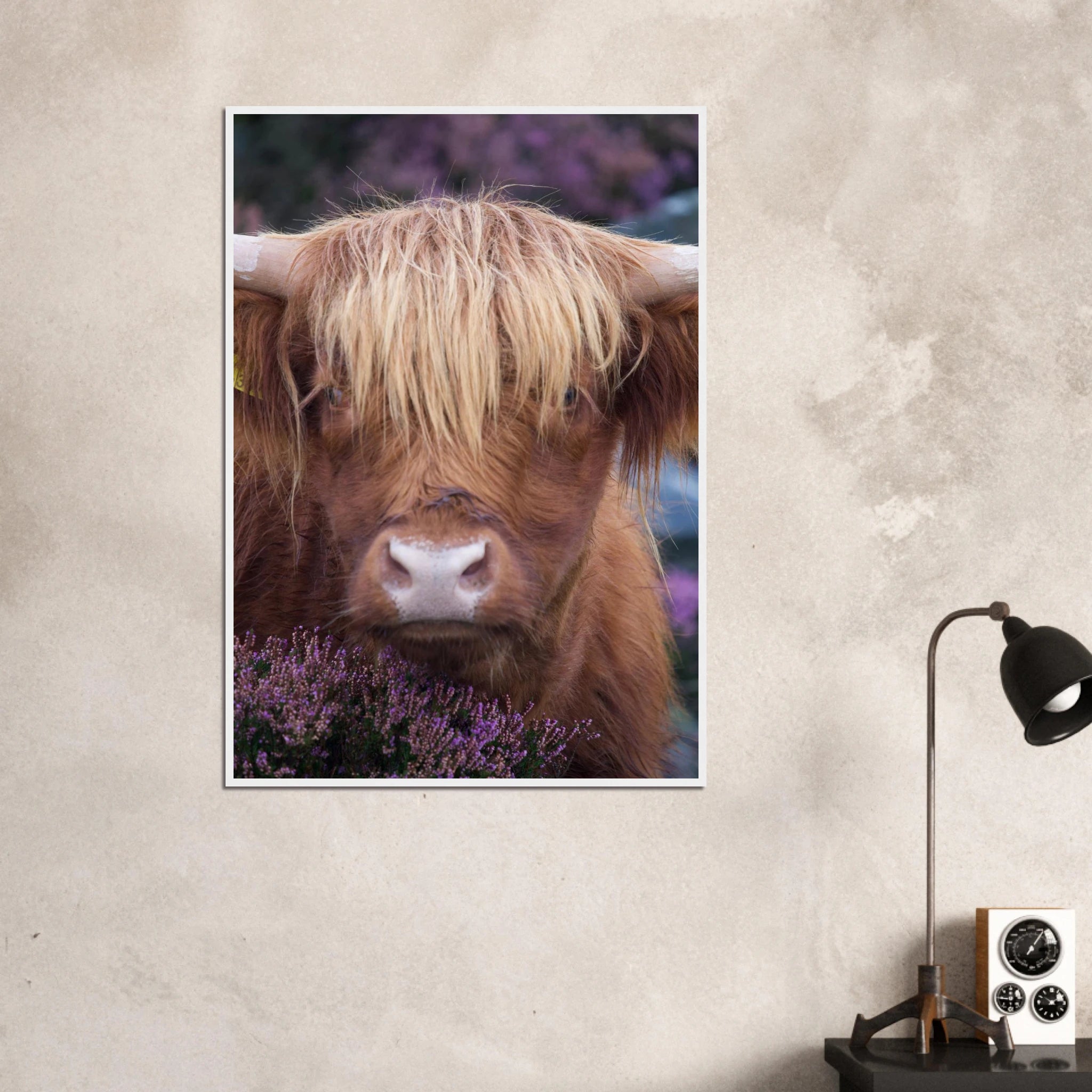 26ca64aa-b557-4f1e-b399-044ecdb28214