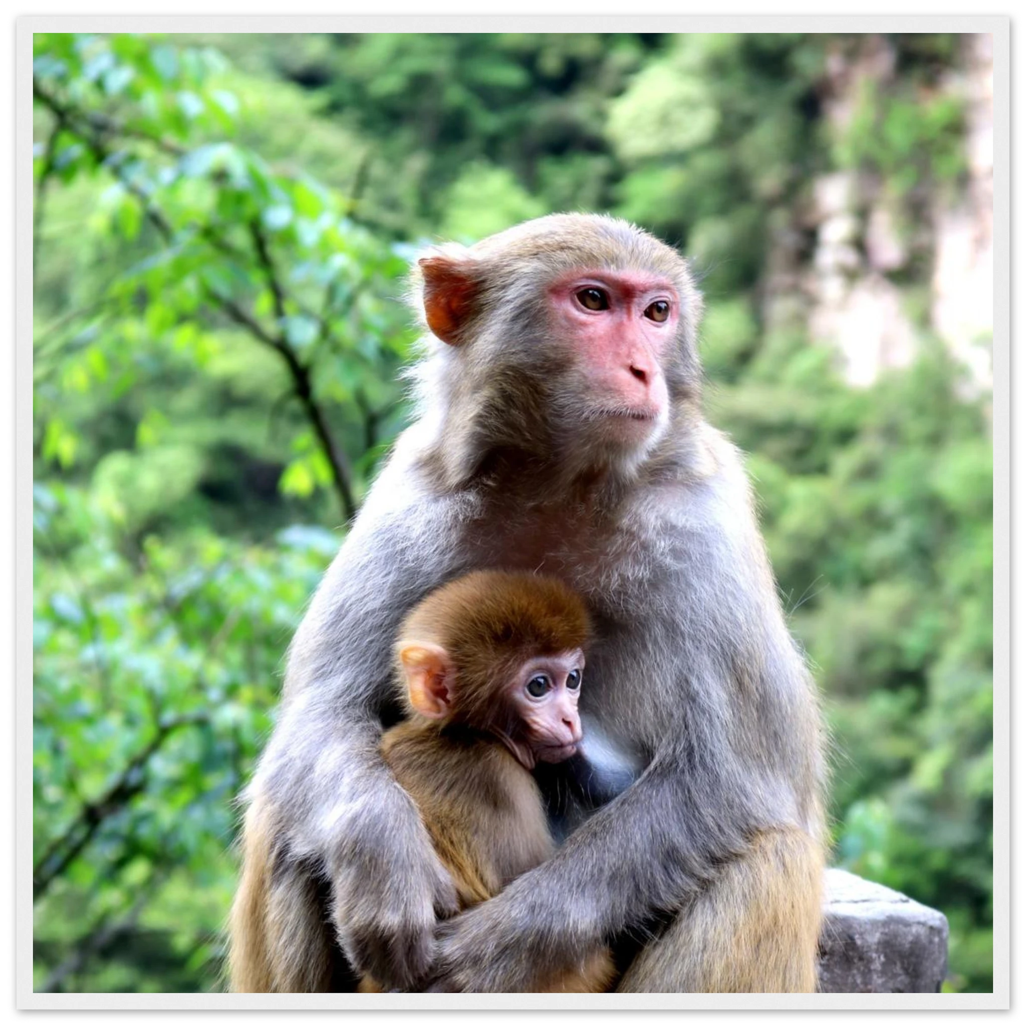 26cb8853-2c15-401a-b09f-b6f5b63aec94