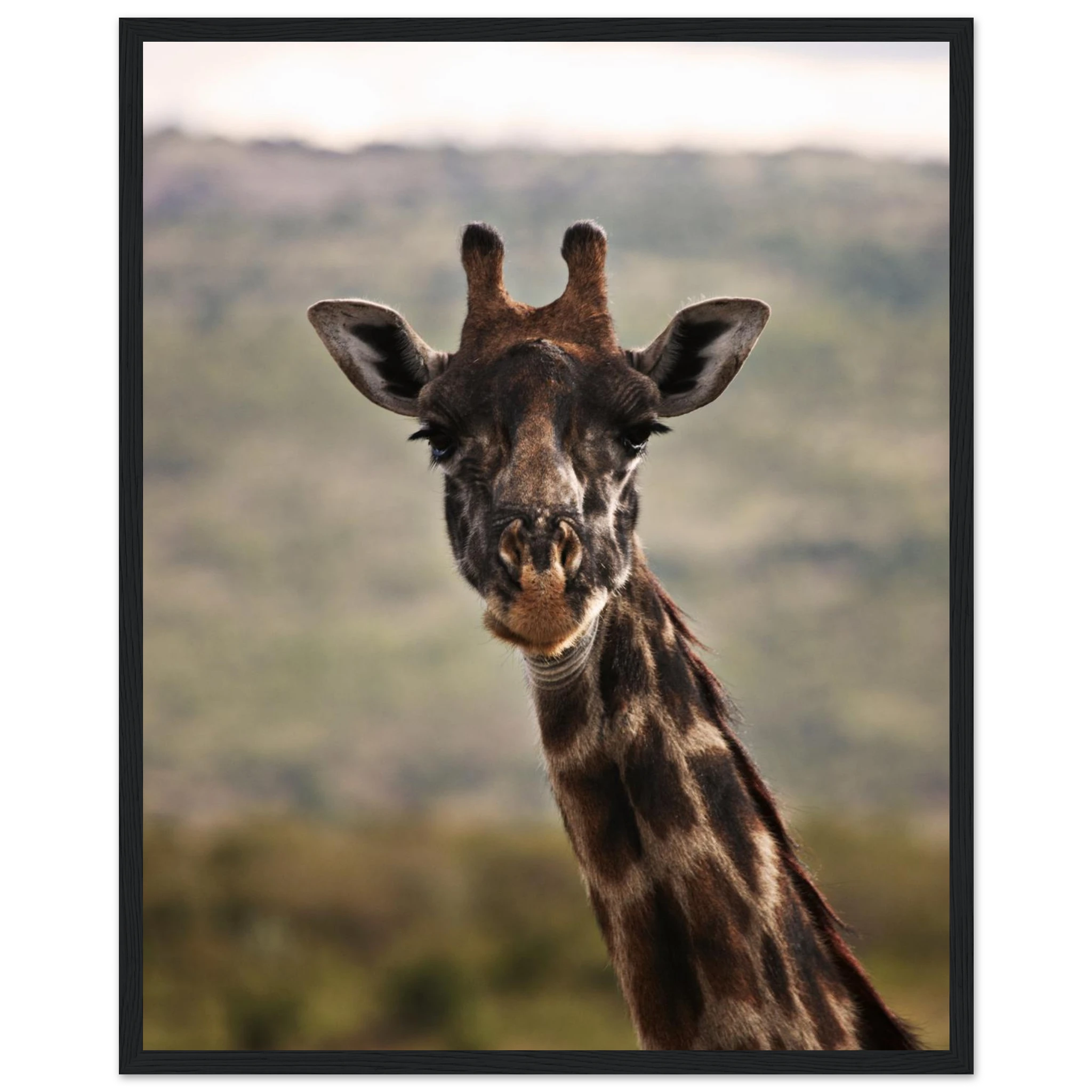 26dc6b54-e7b4-4126-97bf-cdb04513c644