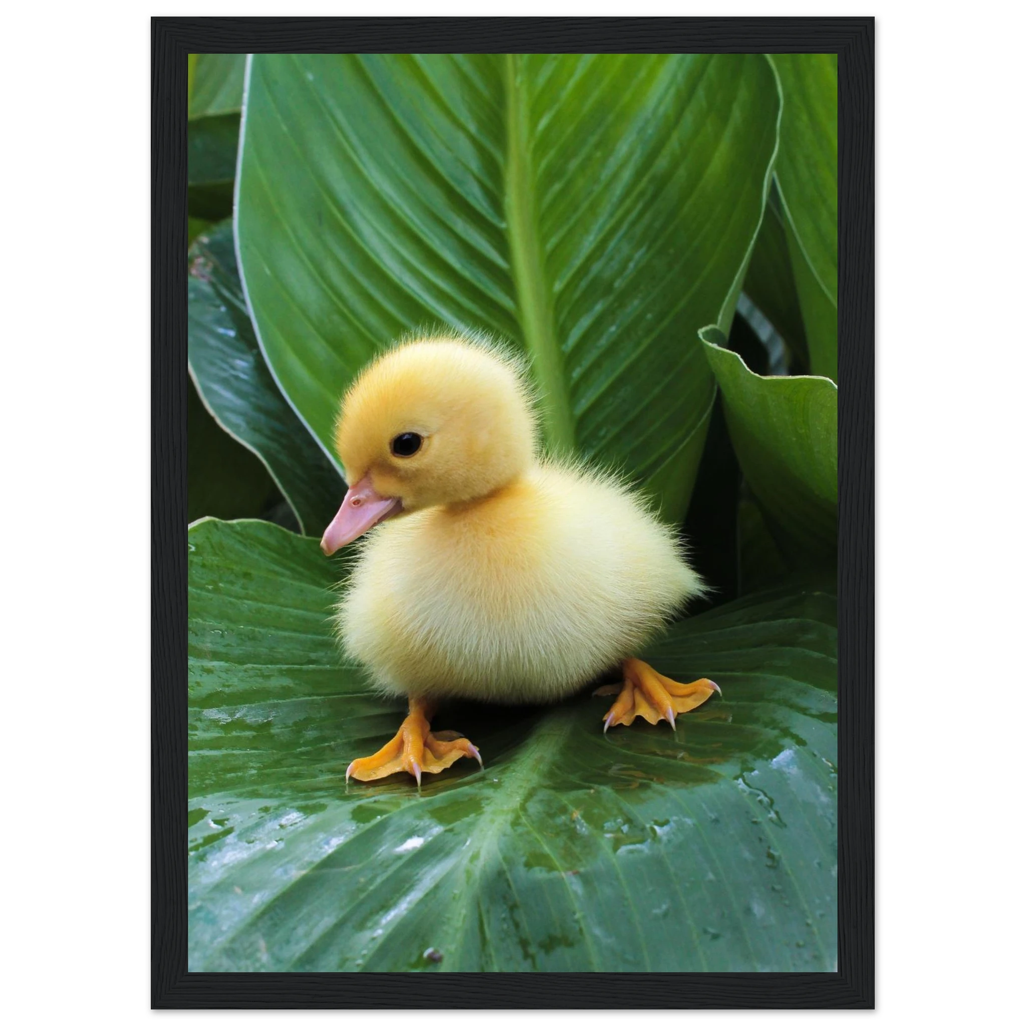 270bdf23-813e-45f3-847c-dfbeffec8ccd