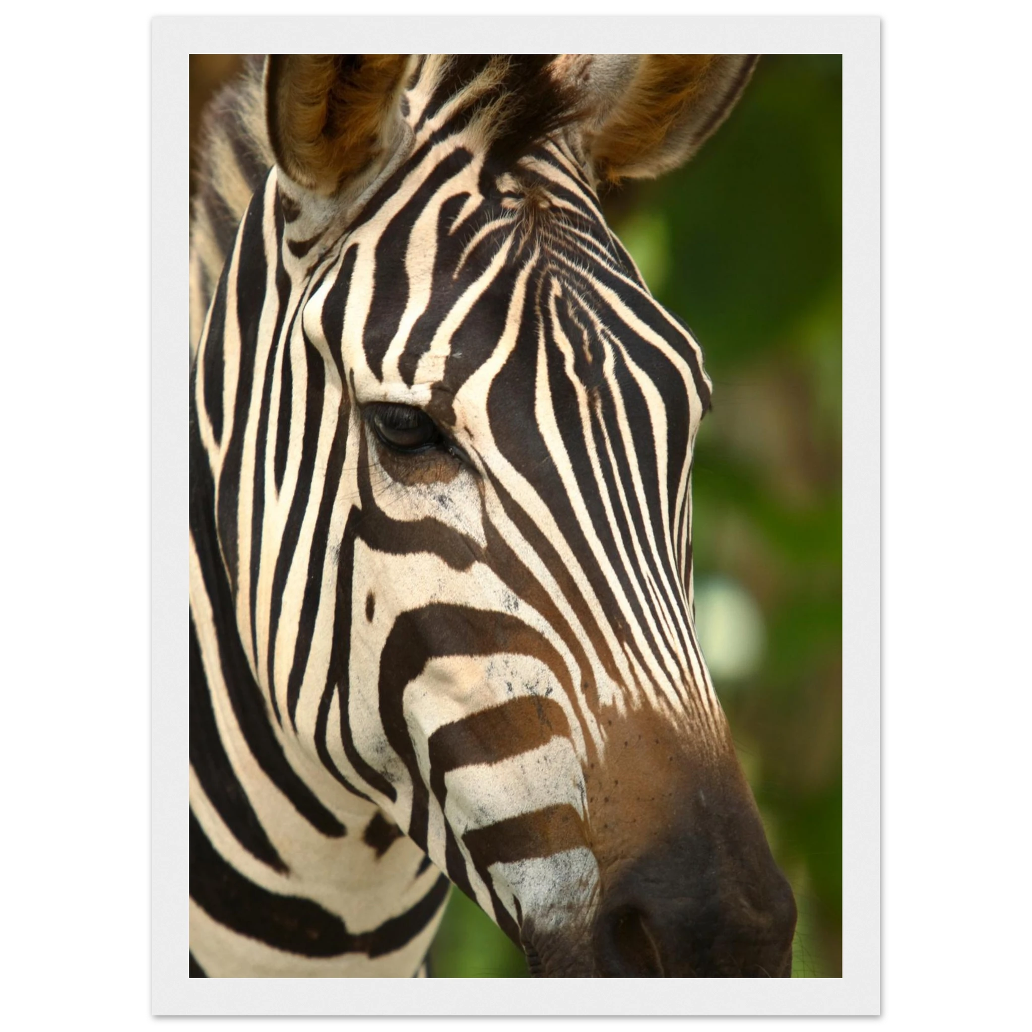 271a15ff-4e64-459a-b646-e5afe317f280