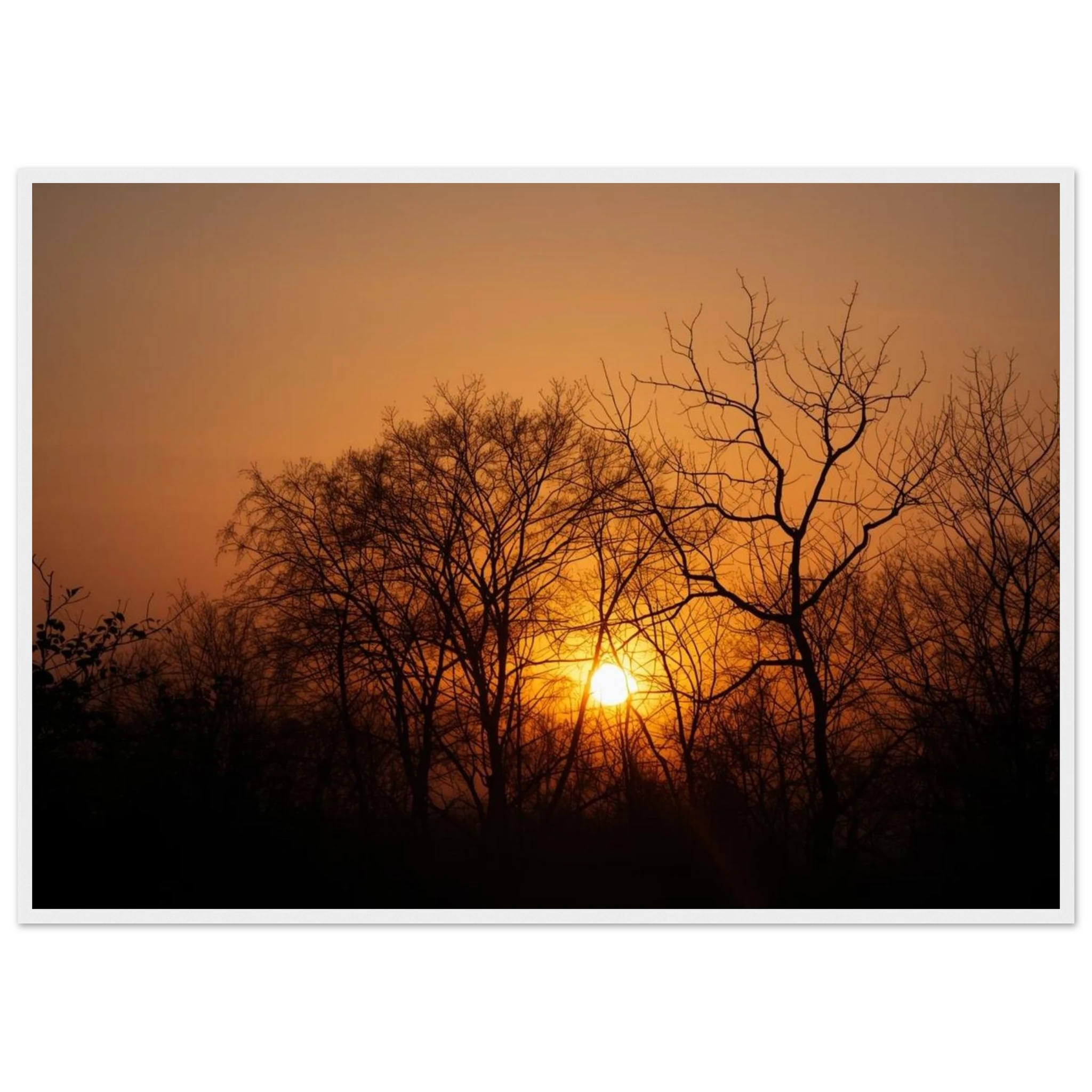 2720a3a7-cd9d-4631-845c-e5e4a082c93f