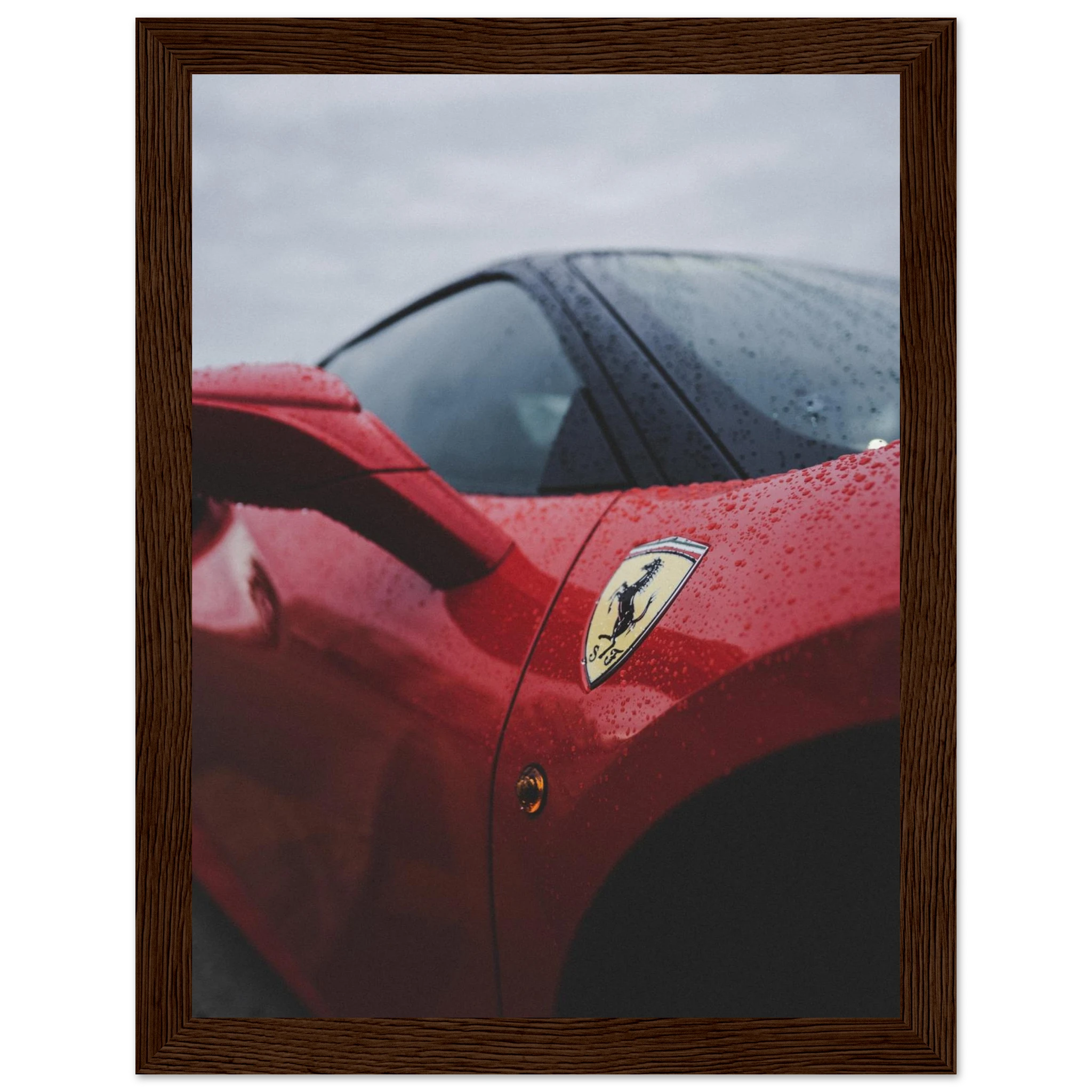 272d1d73-c916-4c85-8ca1-bae7984768d7