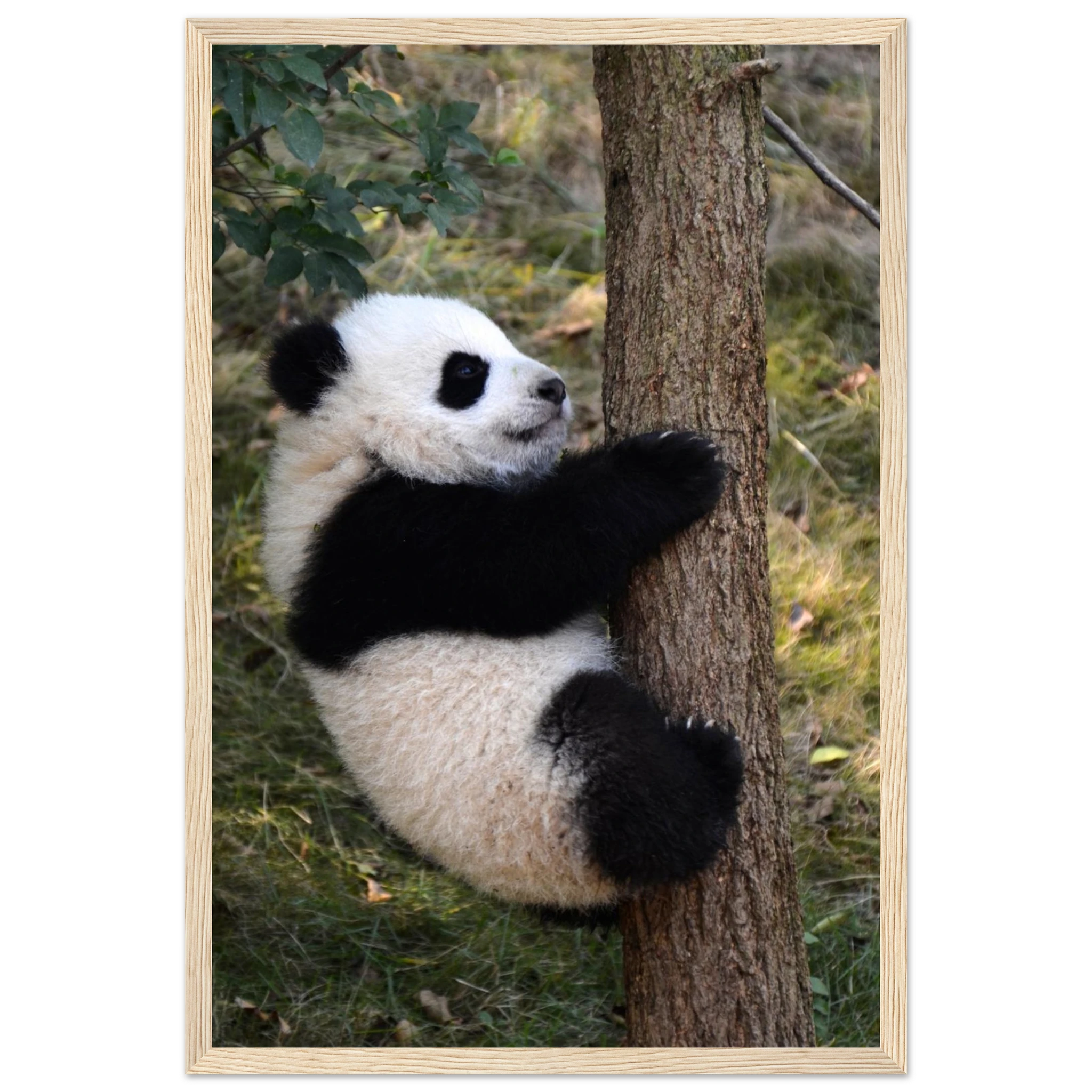 275abc6f-f6b1-403c-bae7-73d25e976a2c