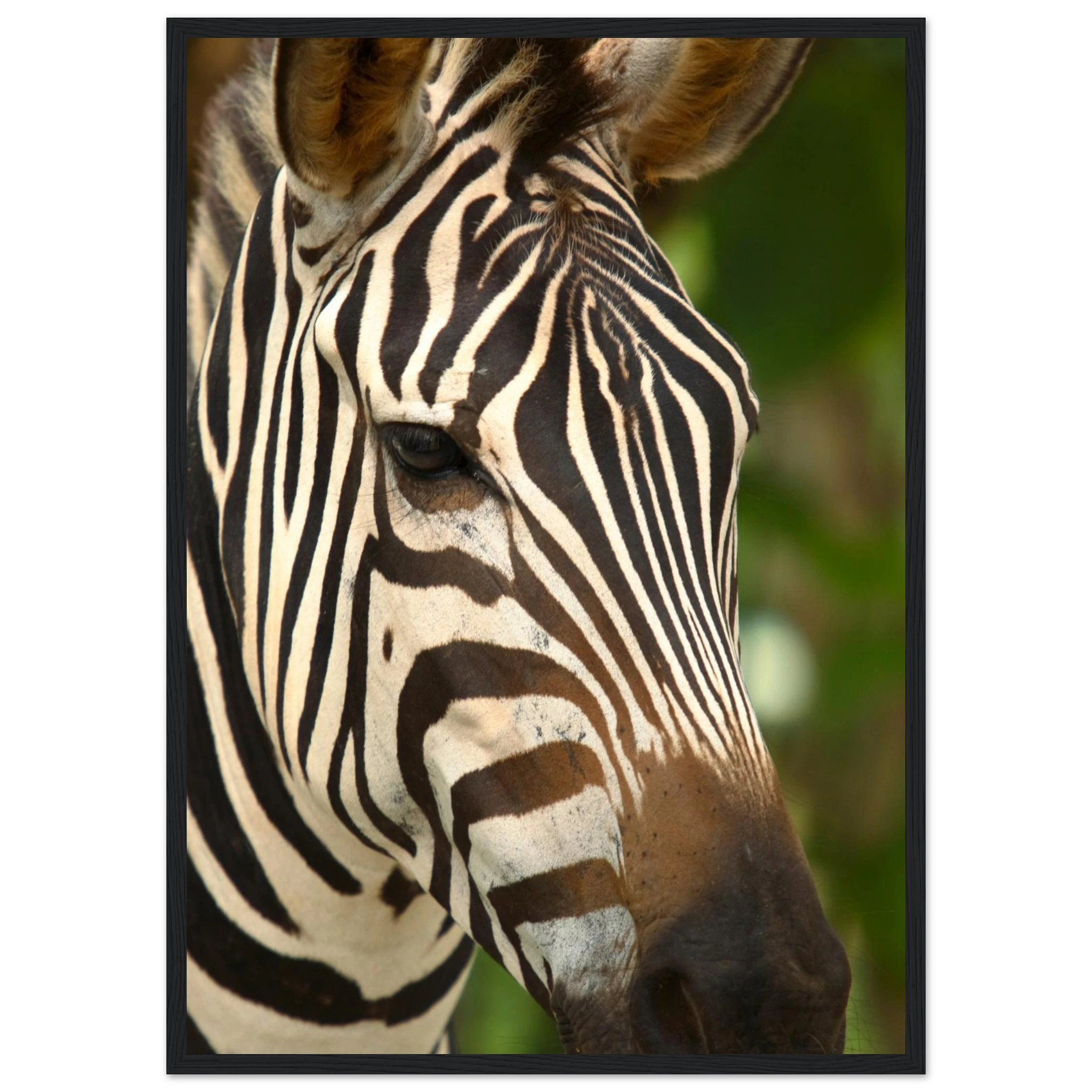 2766b47c-860e-4fc9-8404-8b5b8a0b2536