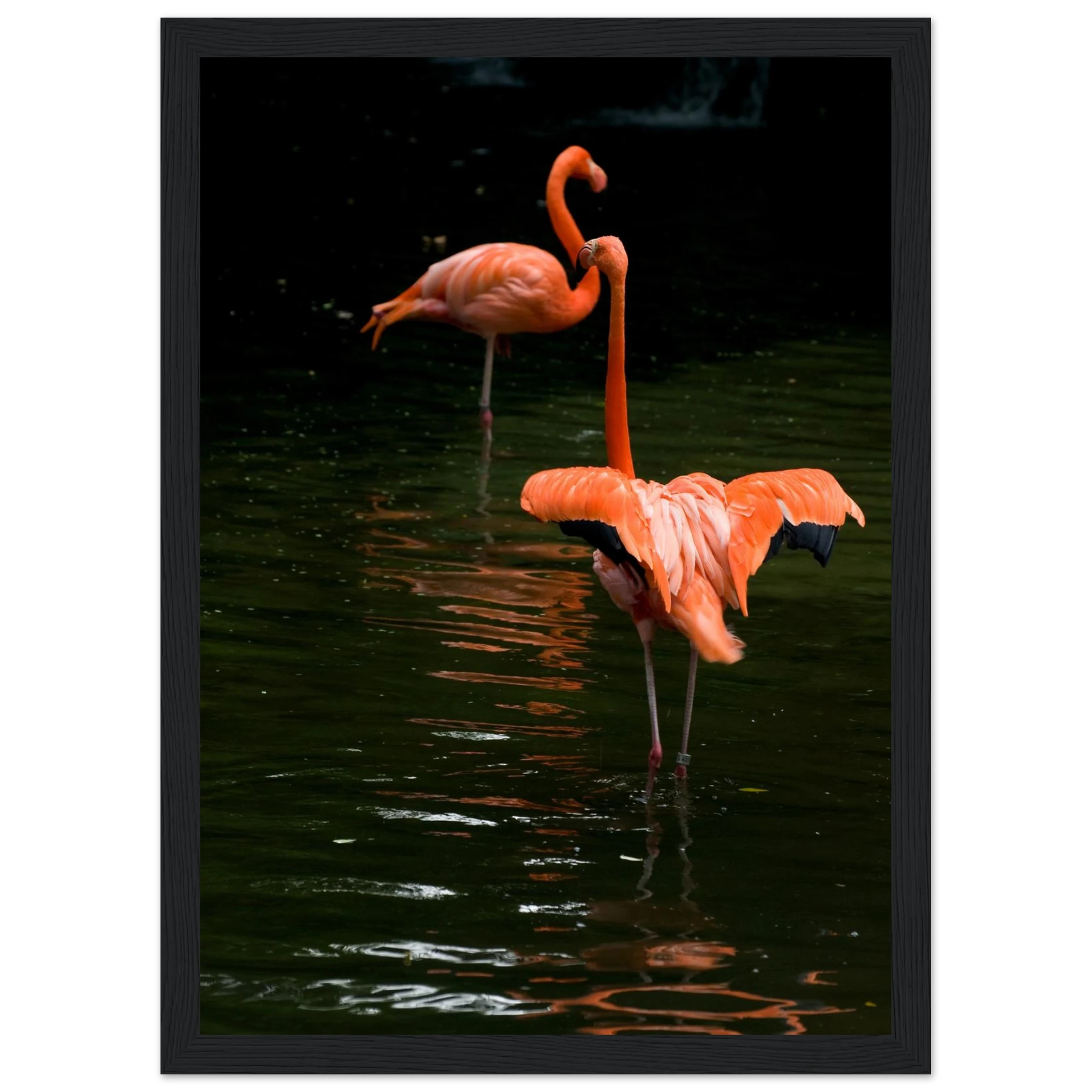 27990874-158f-4fe6-8cef-998de131dc76