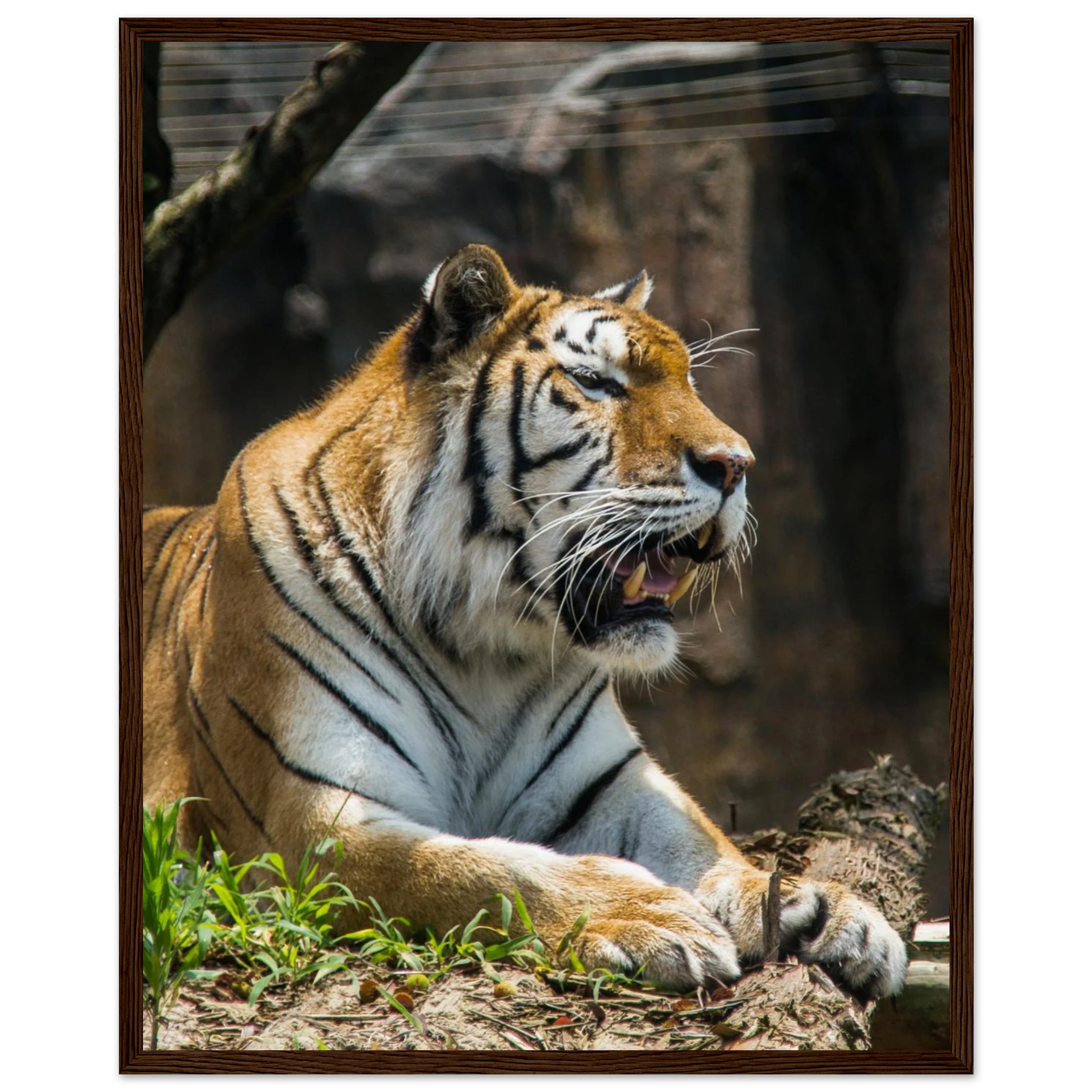 27a6fd3a-3cf1-4ae6-a829-66a9cdf1b52c