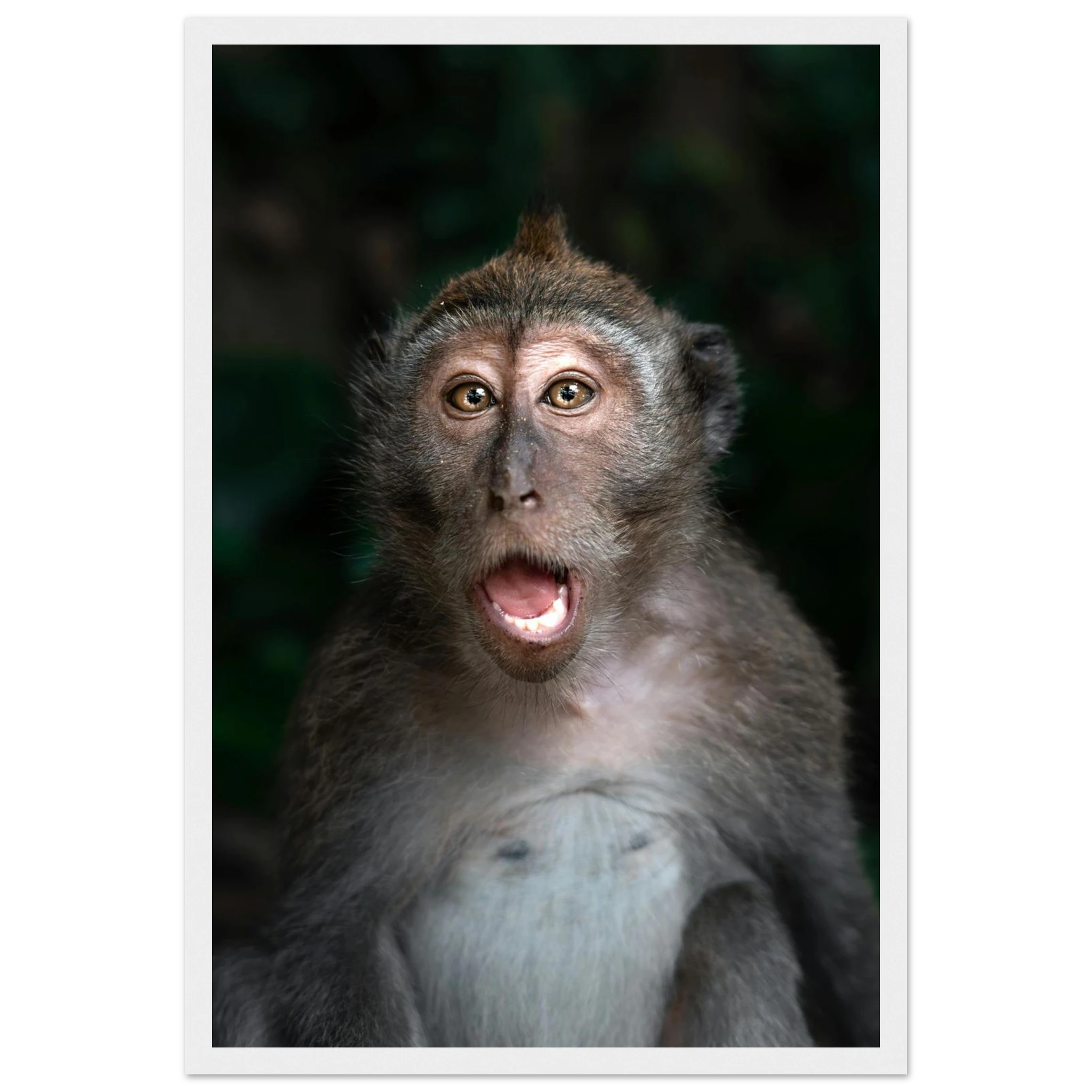 27a8c872-0b5c-477e-ba95-f7de98da92e7