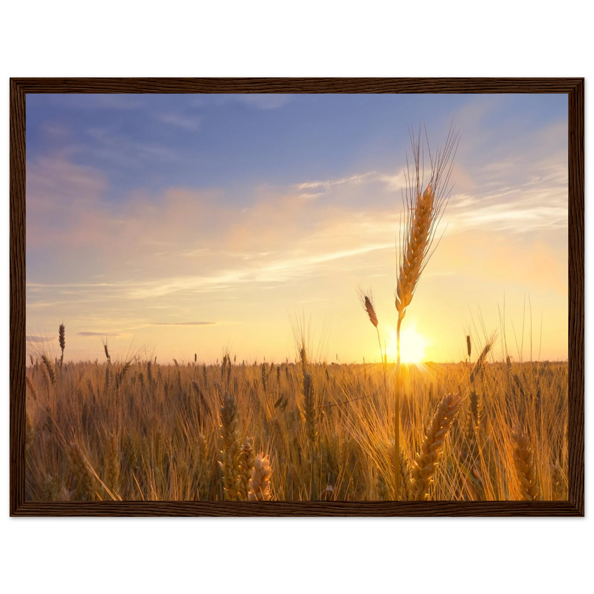 27b452f5-42be-45cf-8d2c-ea31cbf76714