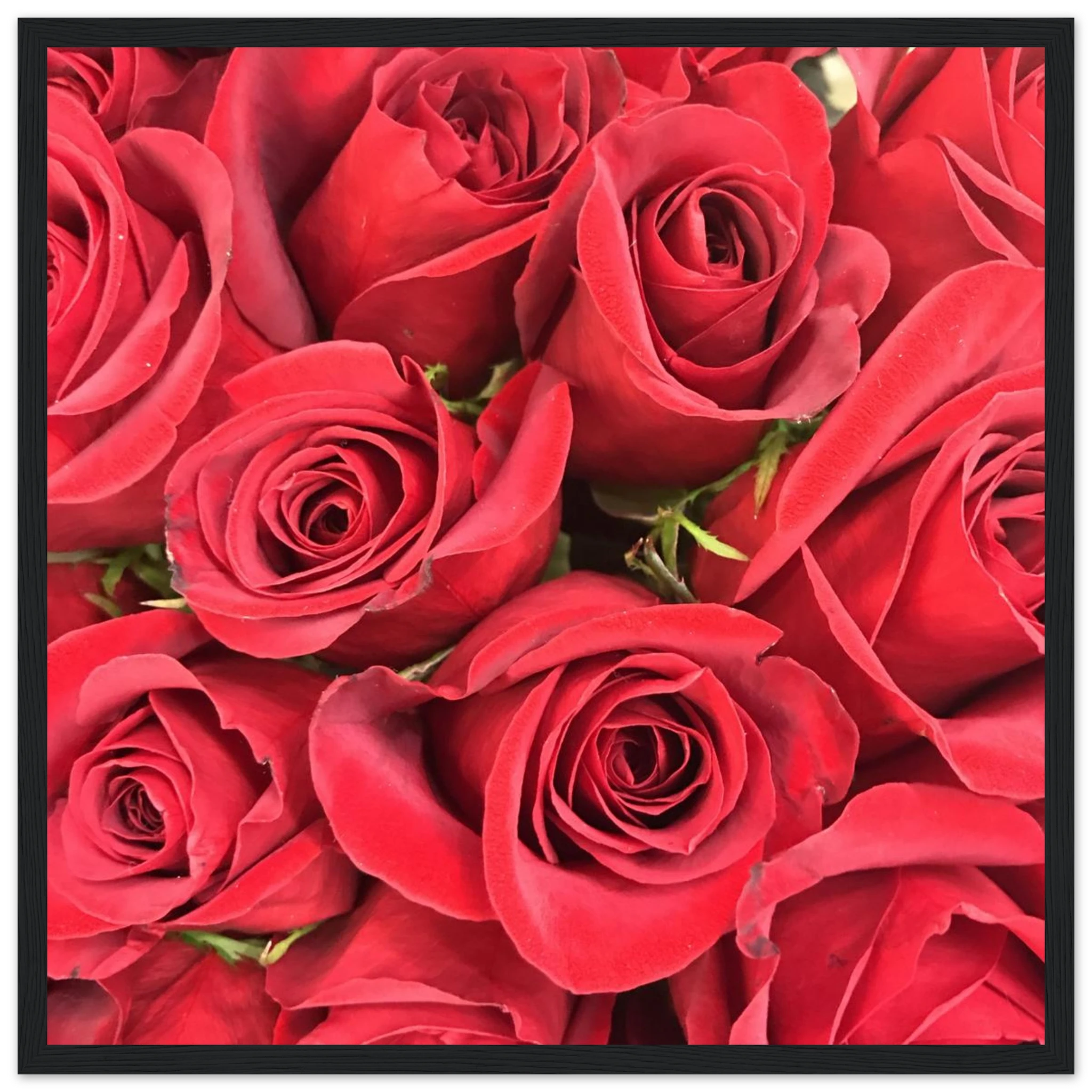 27b7b3ee-2ed4-49e2-83aa-4869f4594b06