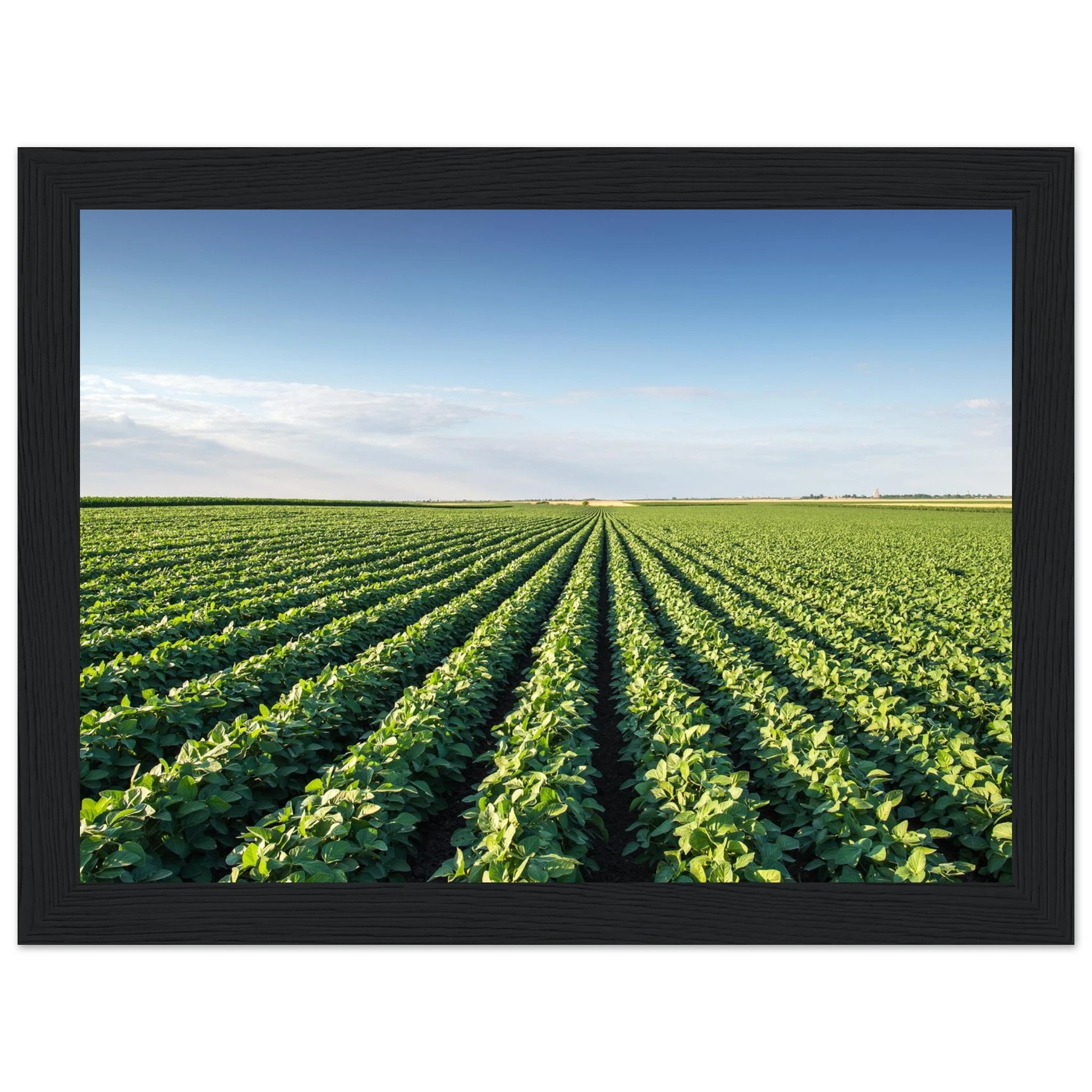 27dcc653-5966-4148-86ab-0df3ec70db05