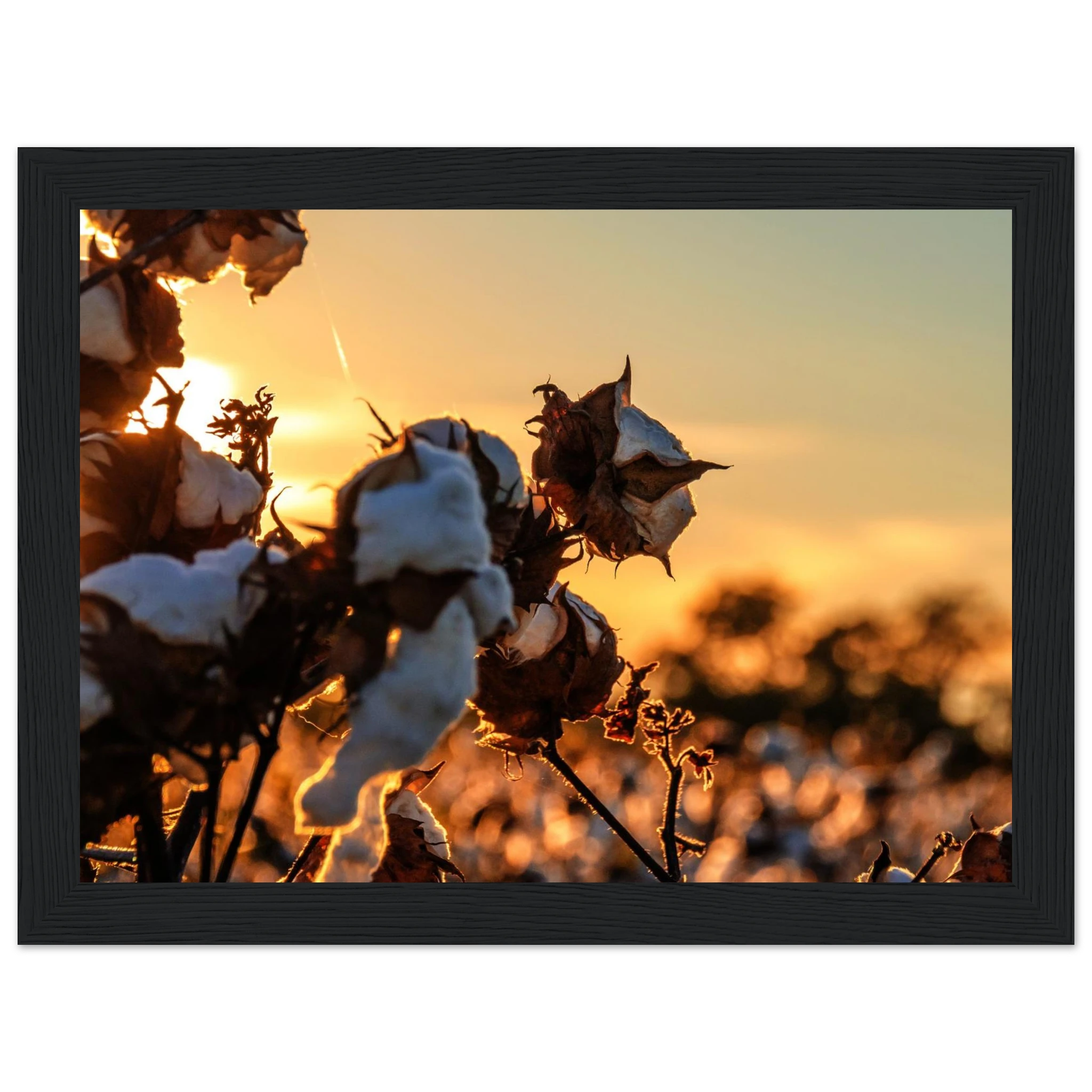 27e7633a-2032-4fbf-b643-98cd2a97c6a5